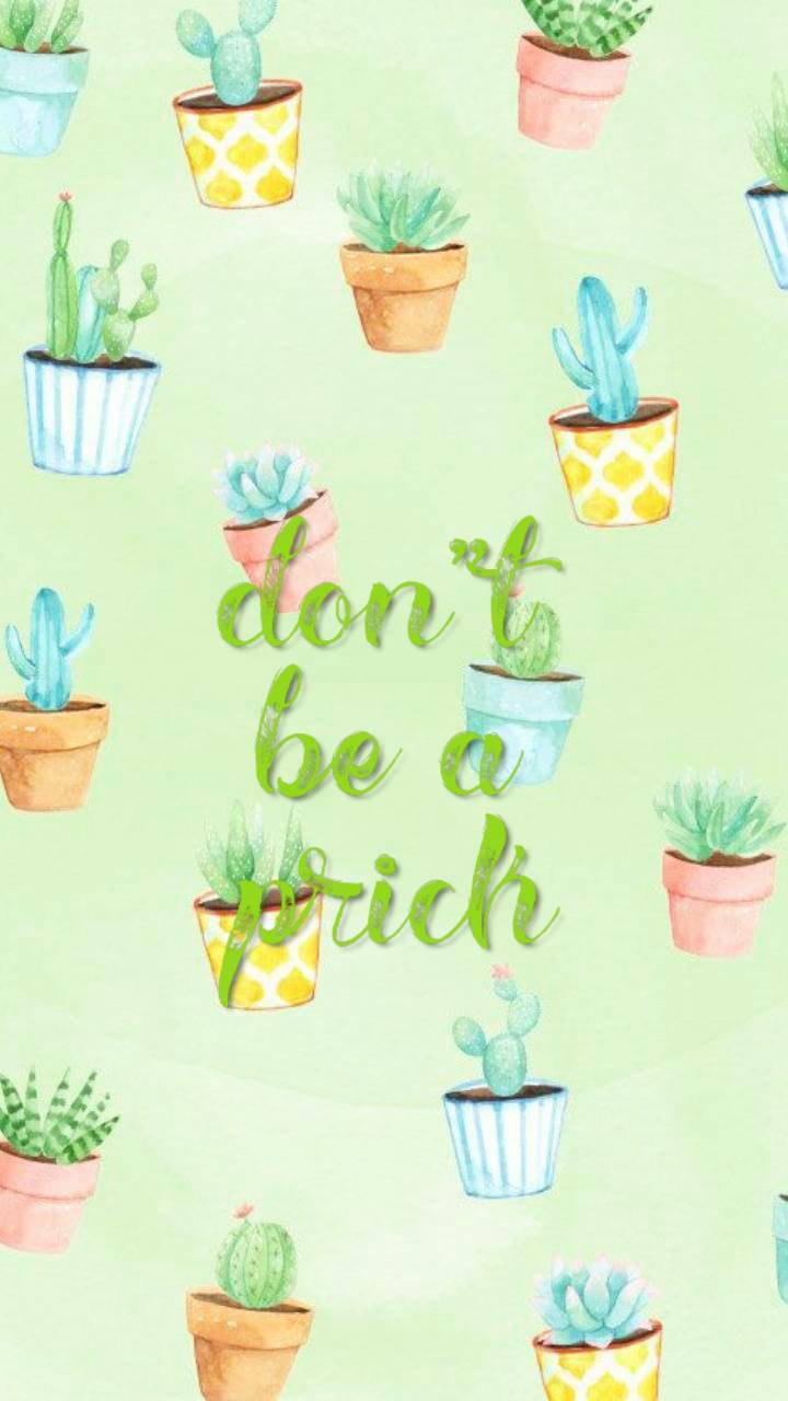 720x1280 Aesthetic Cactus Wallpaper