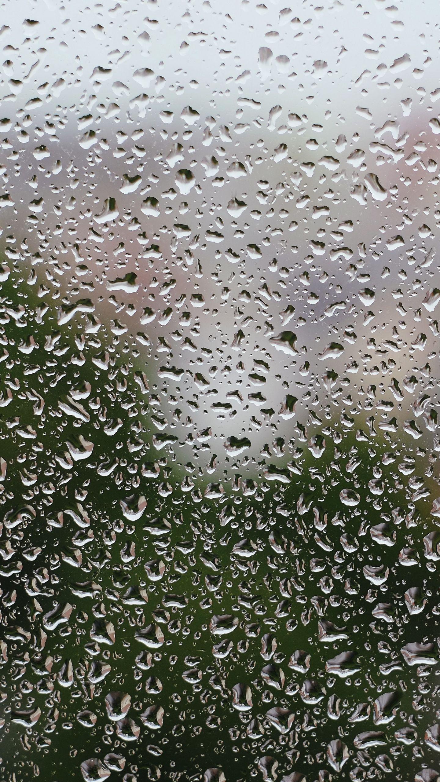 1440x2560 Wallpaper Rain, Drops, Glass, Wet Wallpaper & Background Download