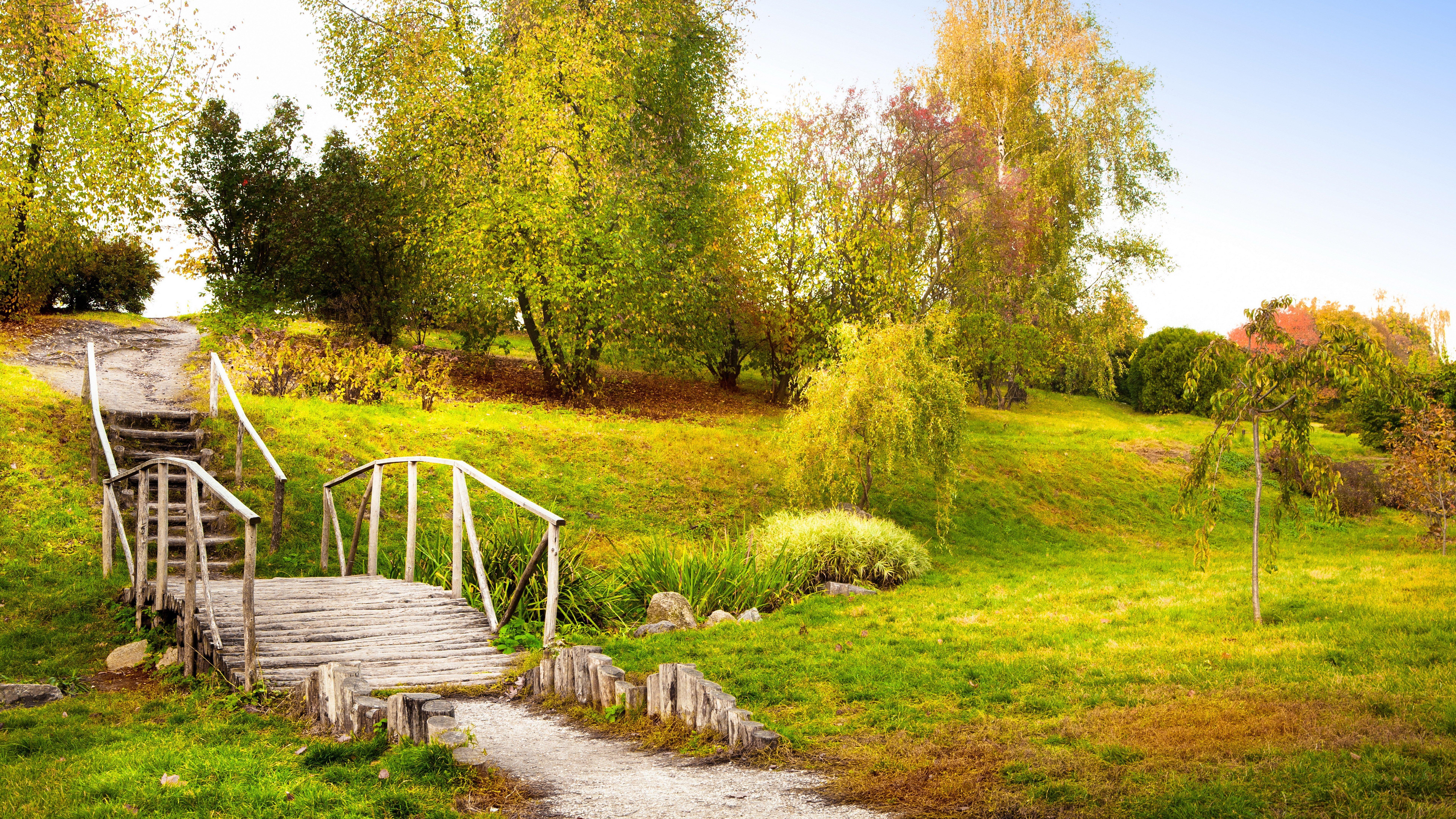 7680x4320 hd desktop nature 7680x4320 K #wallpaper #hdwallpaper #desktop. Summer trees, Tree wallpaper green, Summer wallpaper