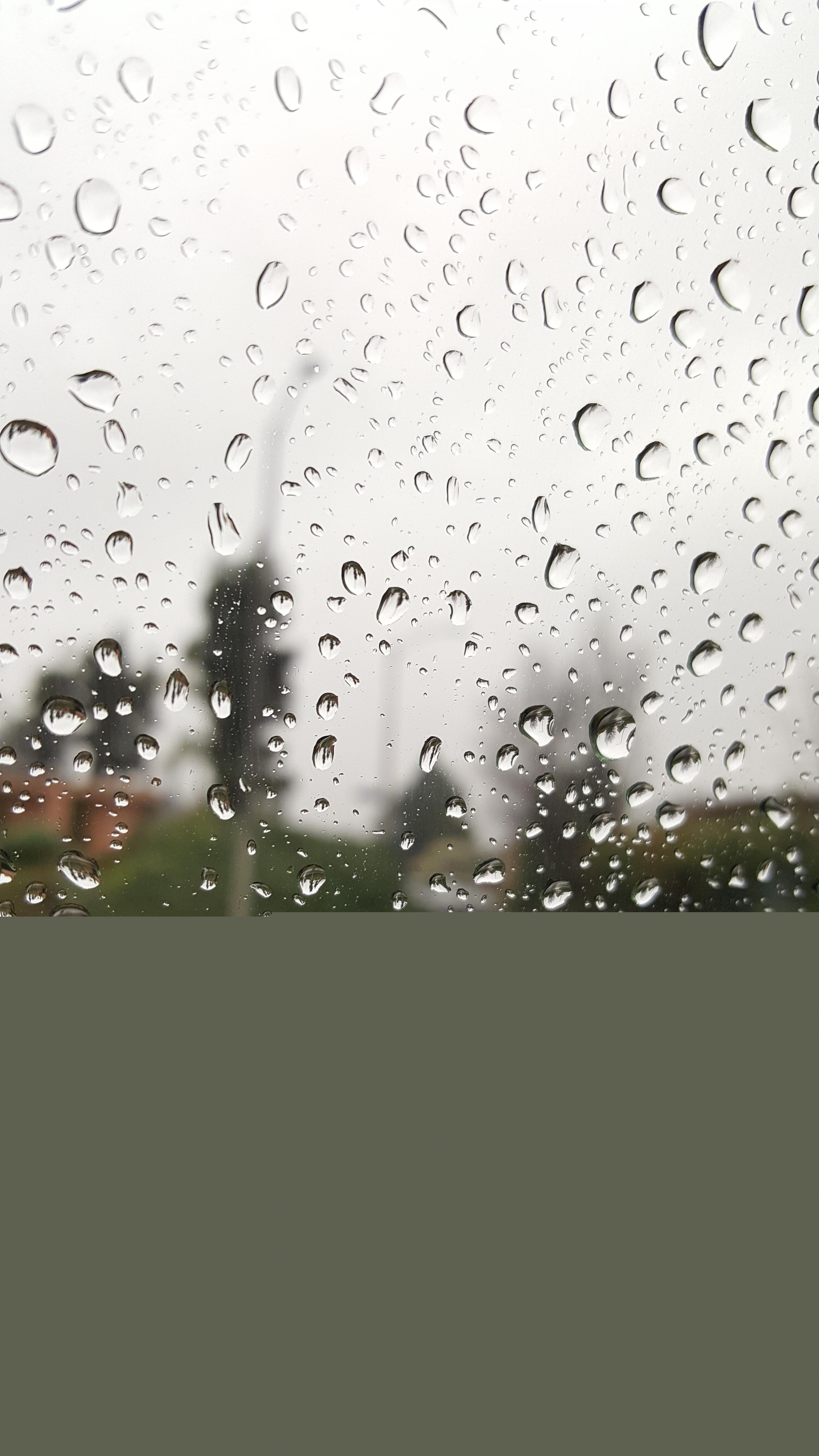 2988x5312 Rainy Phone Wallpaper