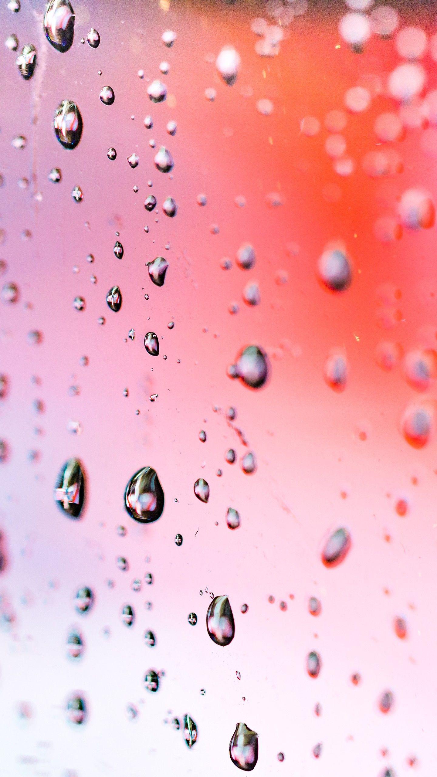 1440x2560 Rain Droplets Macro 4K Wallpaper</a> Wallpaper