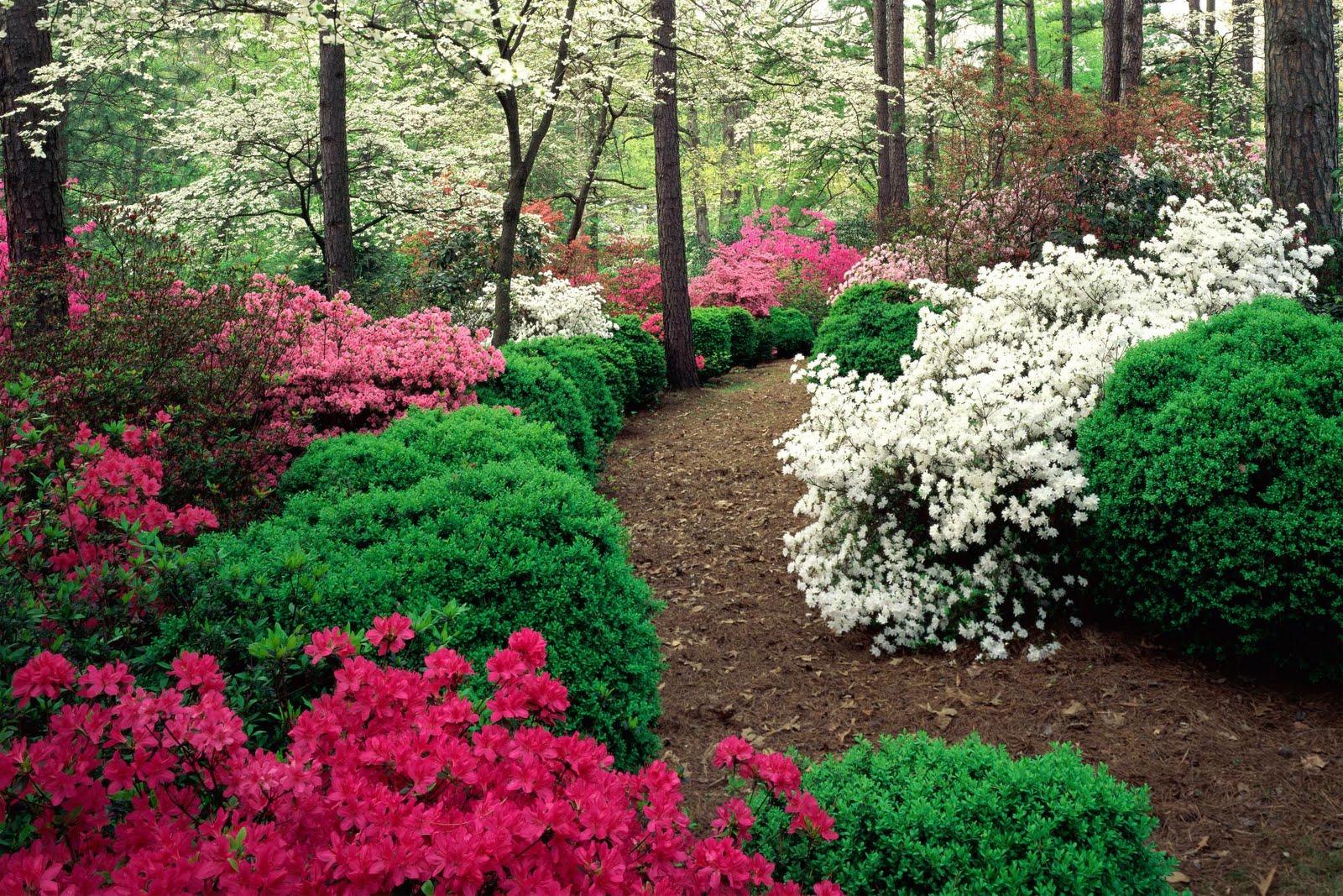1600x1067 Beautiful Flower Garden Wallpaper. Wallpaper Forest Beautiful