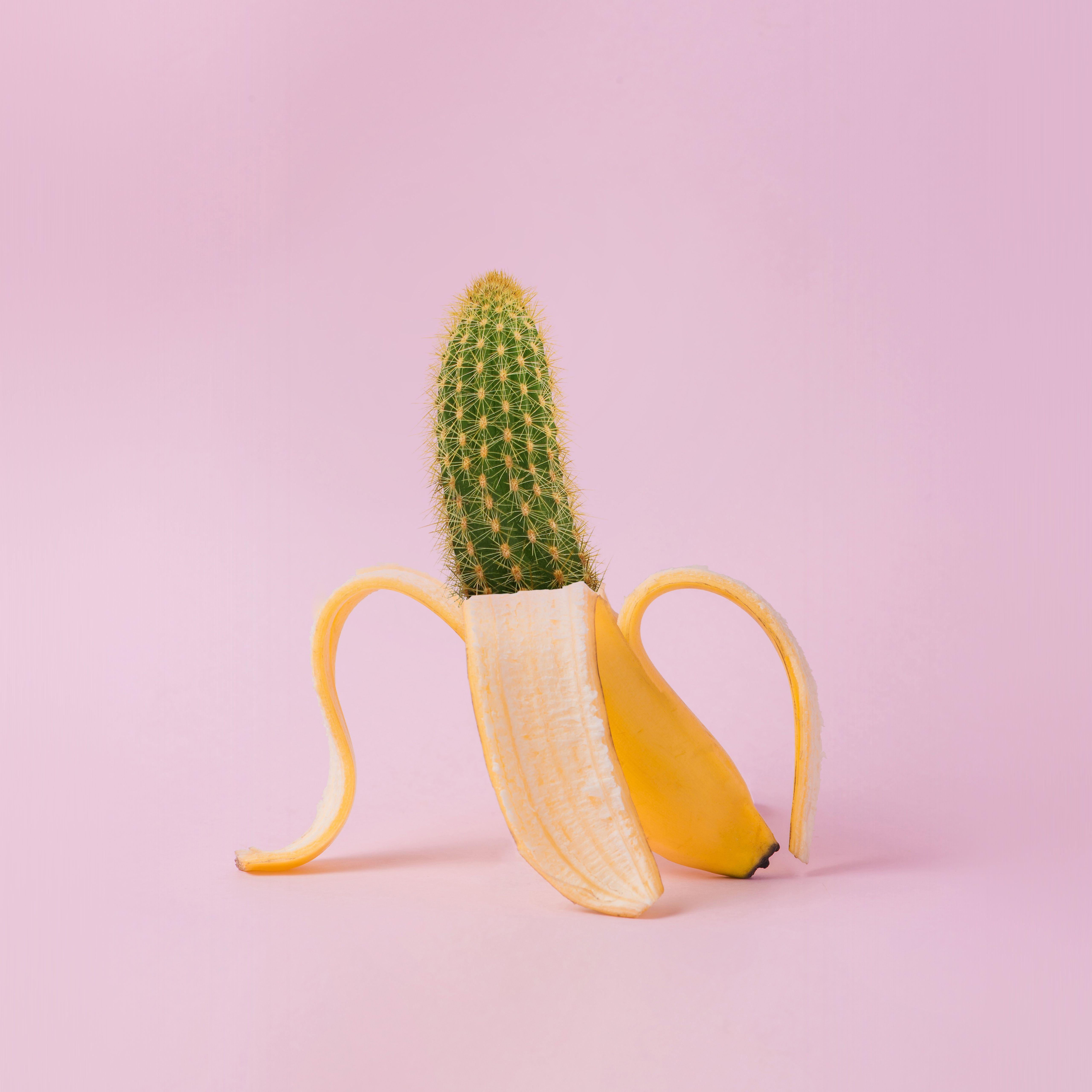 5120x5120 Art Banana Cactus Wallpaper