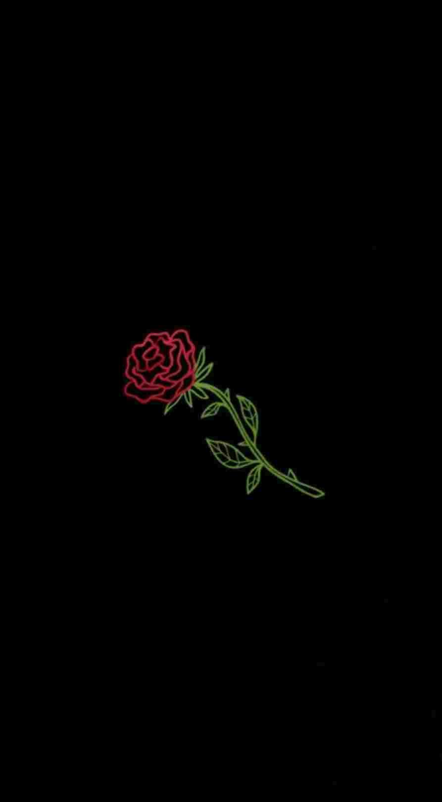 Hình nền hoa hồng thẩm mỹ 893x1618