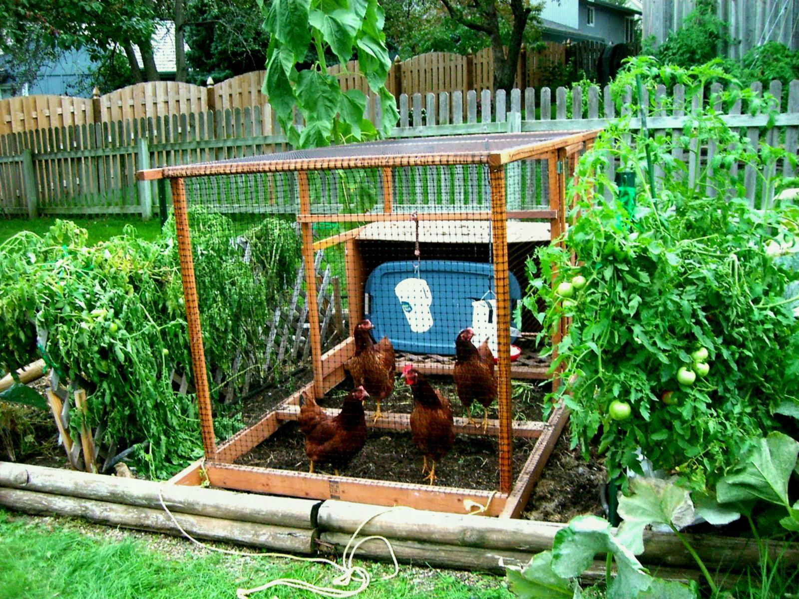 1600x1200 Reputable Incridible Small Garden Landscaping Ideas Rock Design
