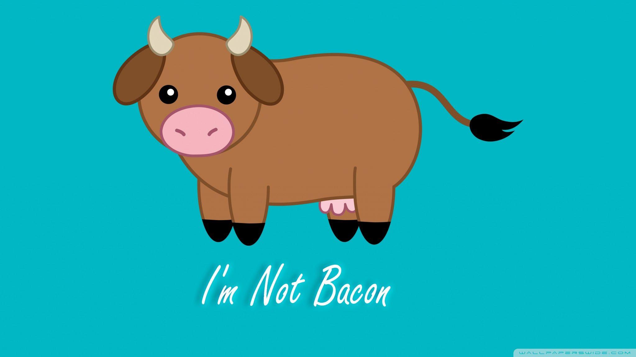 2048x1152 Vegan Wallpaper