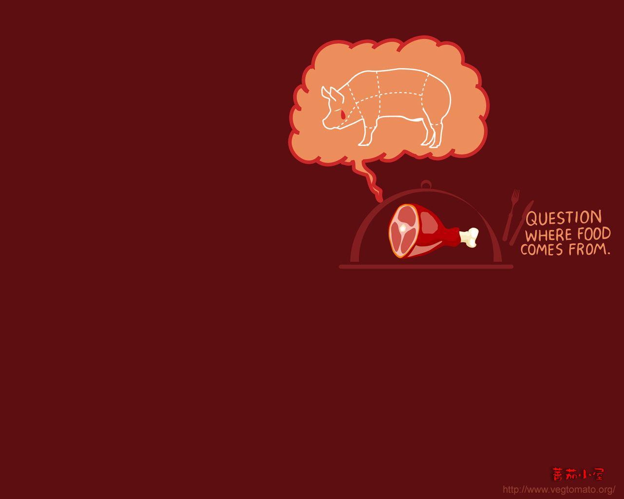 1281x1025 Animal rights