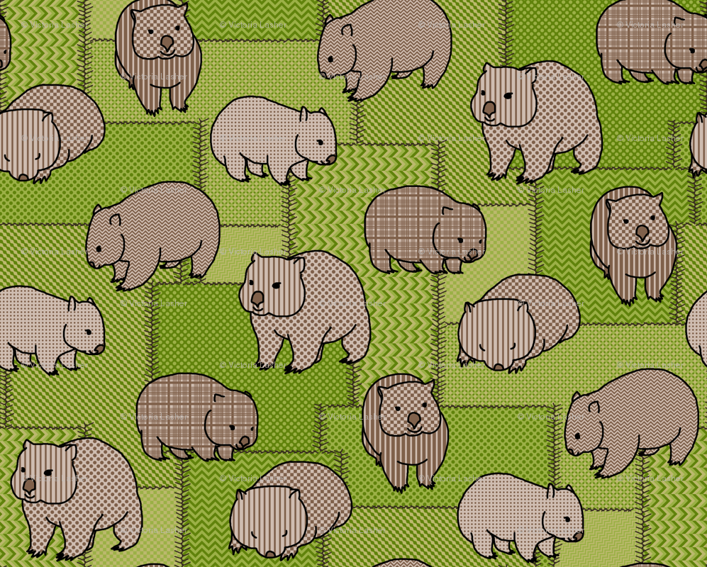 997x800 Wombat Wallpaper