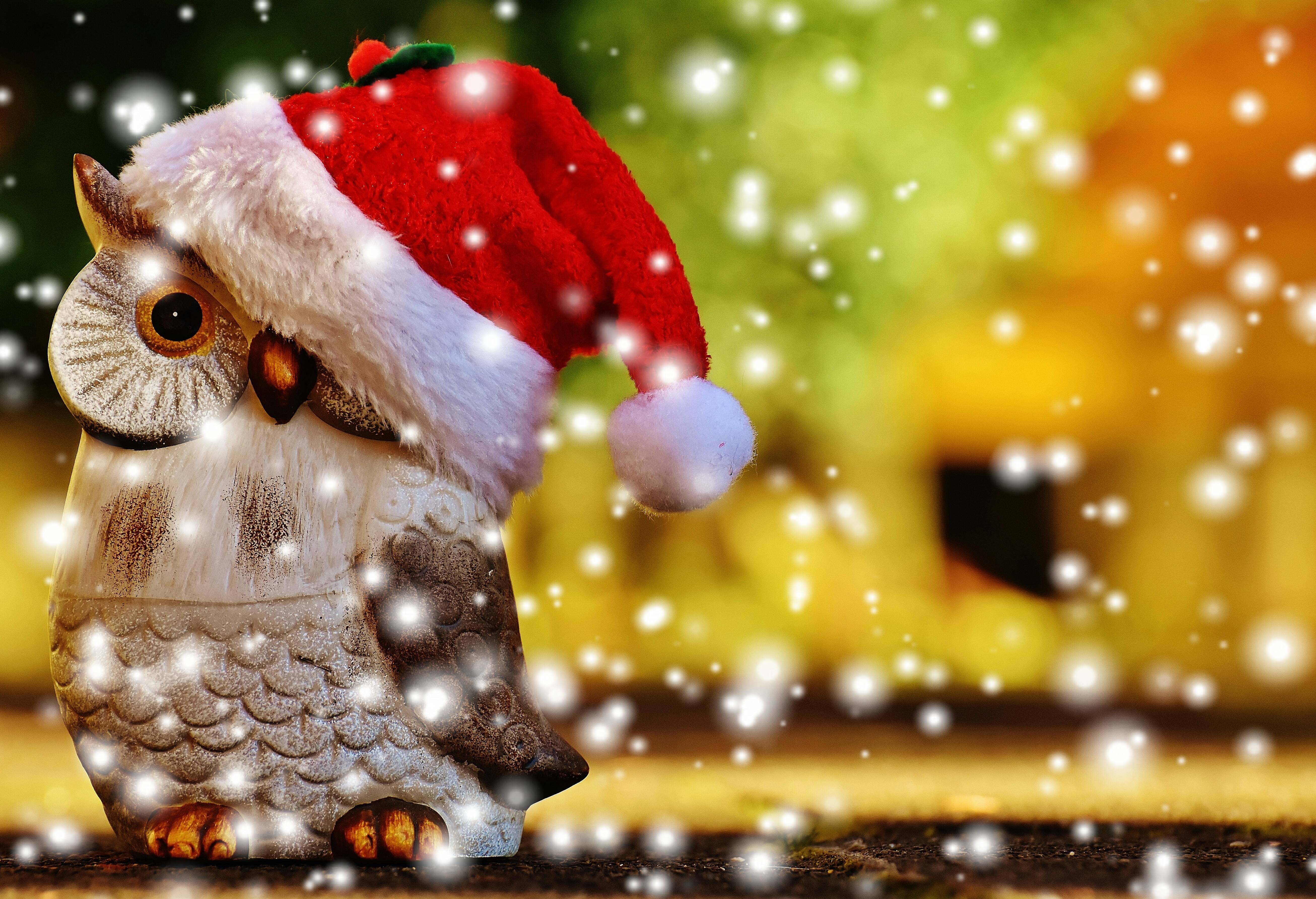 5225x3571 Owl Santa Wallpaper