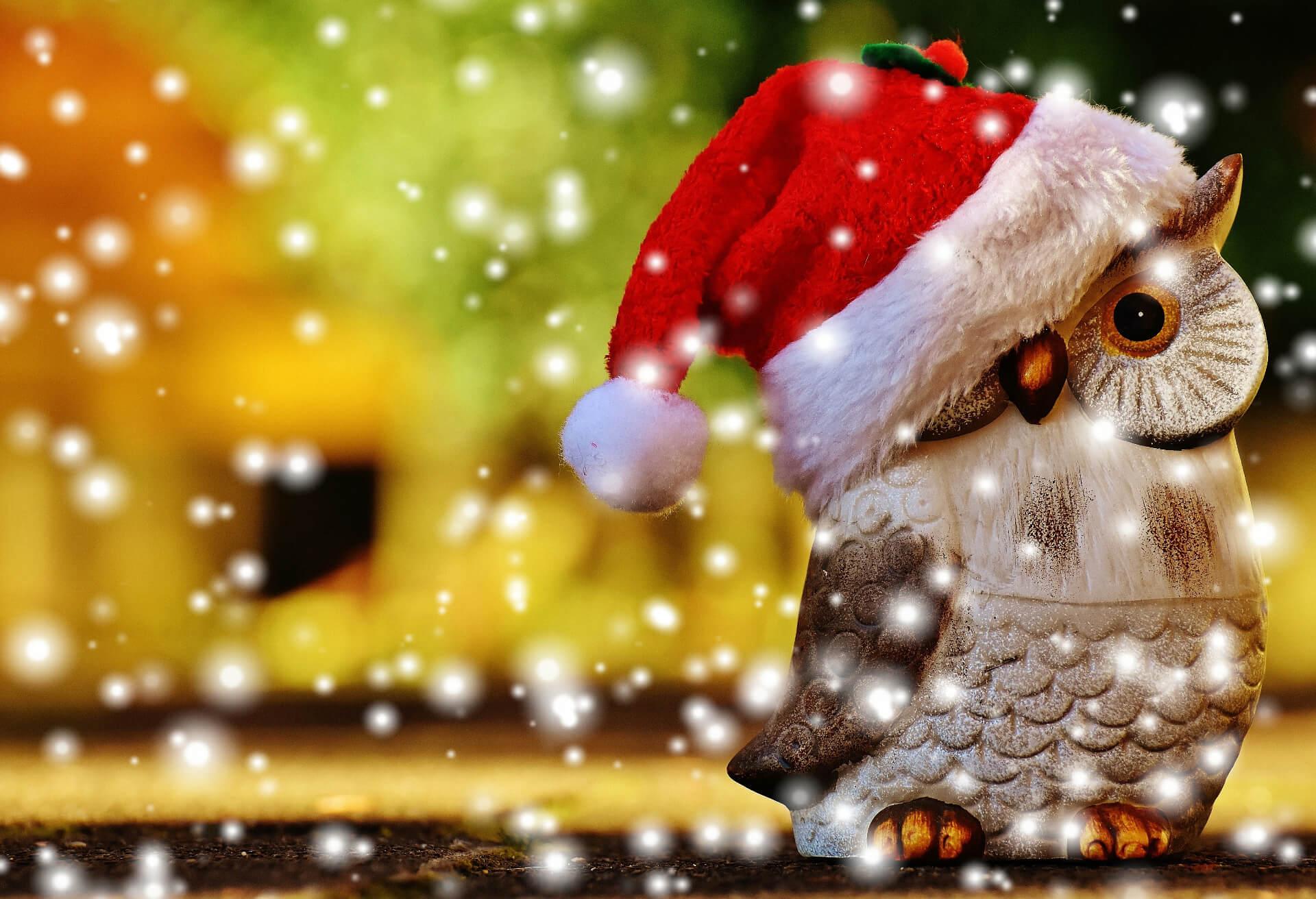 Merry Christmas Owl Wallpapers - Top Free Merry Christmas Owl ...