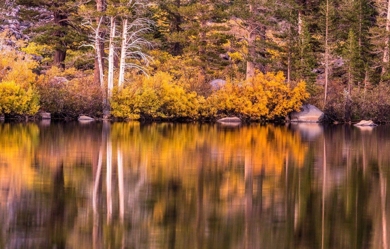 1332x850 Wallpaper autumn, trees, lake, stones, shore, CA, USA, the bushes, Mammoth Lakes image for desktop, section природа