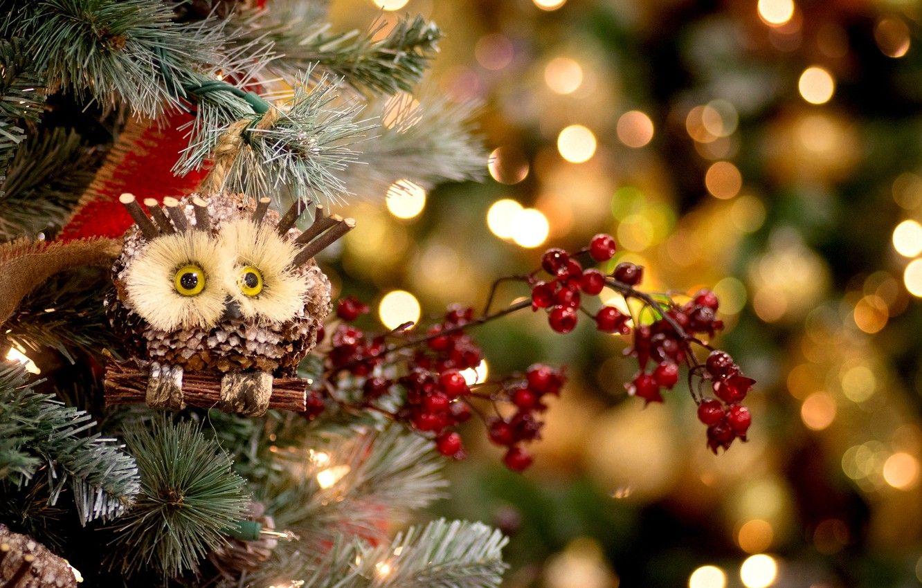 1332x850 Wallpaper winter, decoration, berries, holiday, owl, toys, tree, spruce, New Year, Christmas, red, tree, Christmas, New Year, Christmas, Christmas image for desktop, section новый год