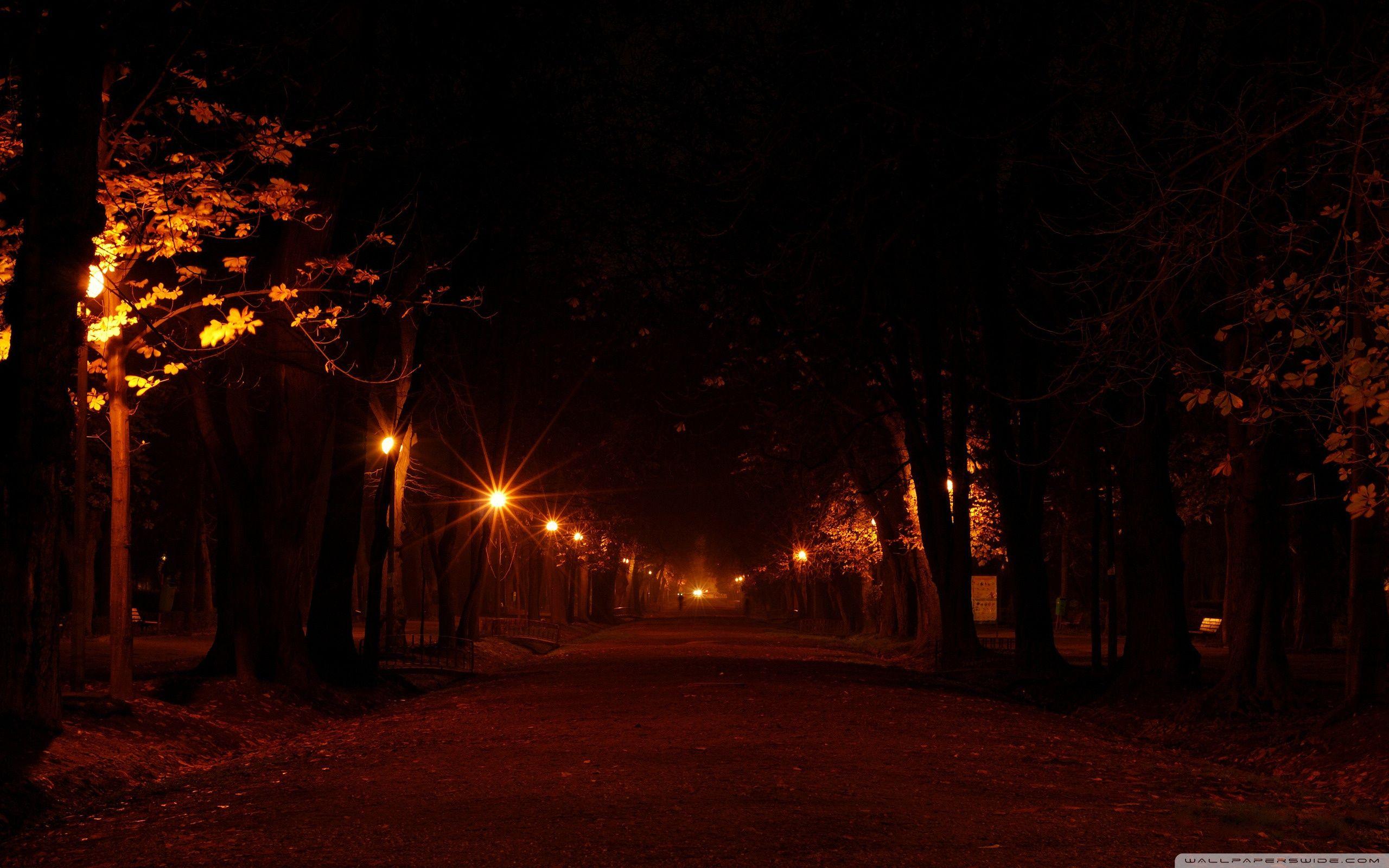 Night Park Wallpapers Top Free Night Park Backgrounds WallpaperAccess