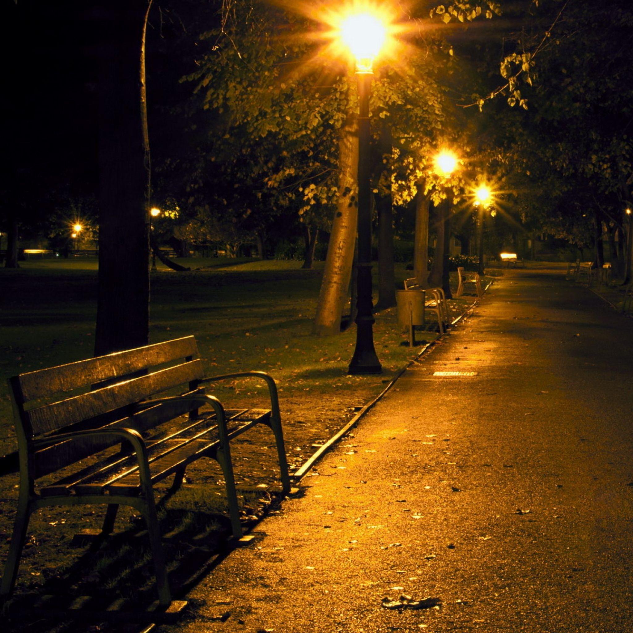 2048x2048 Night Park Bench Wallpaper & Background Download