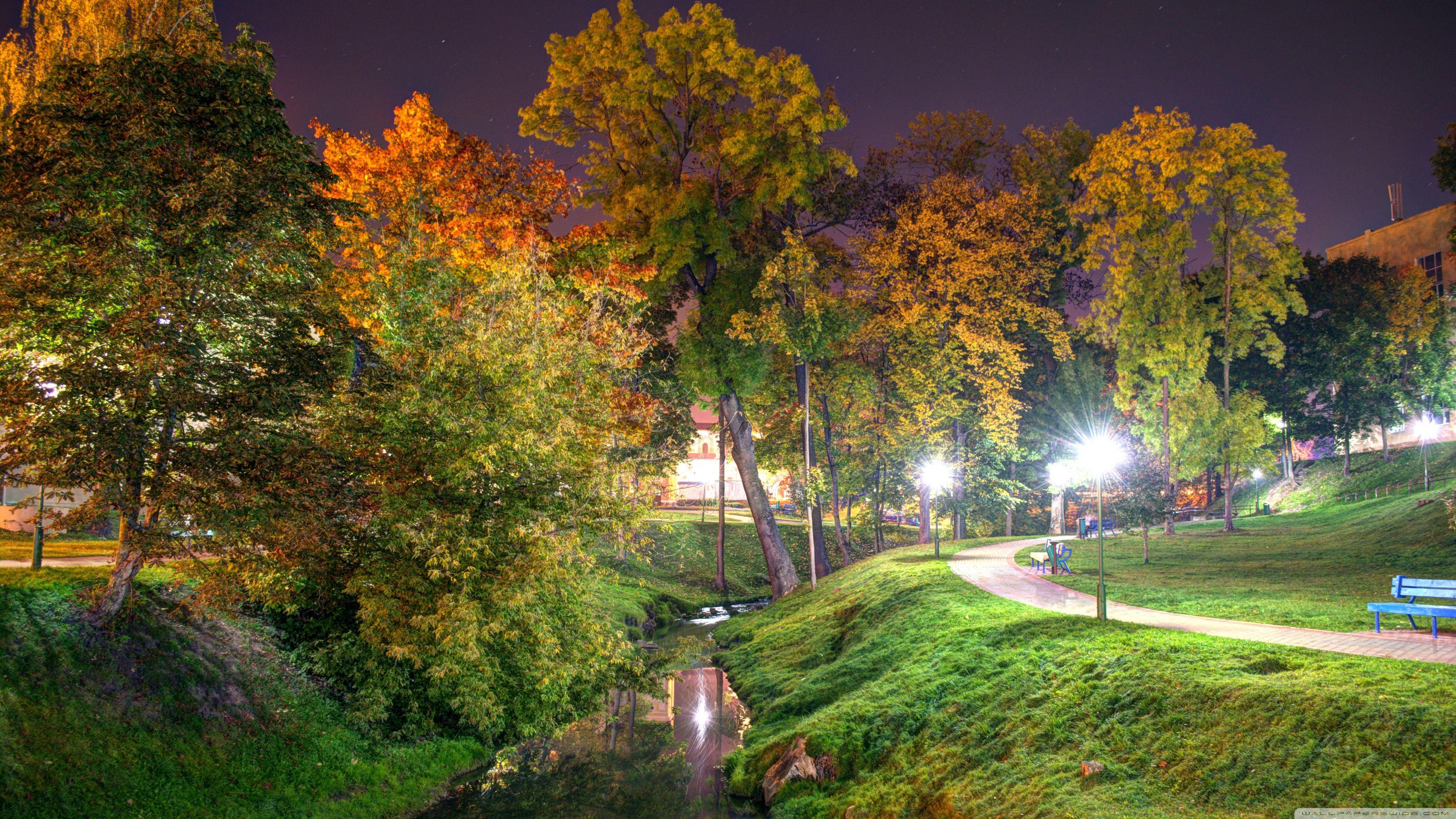 3554x1999 Night Park Ultra HD Desktop Background Wallpaper for 4K UHD TV : Widescreen & UltraWide Desktop & Laptop : Tablet