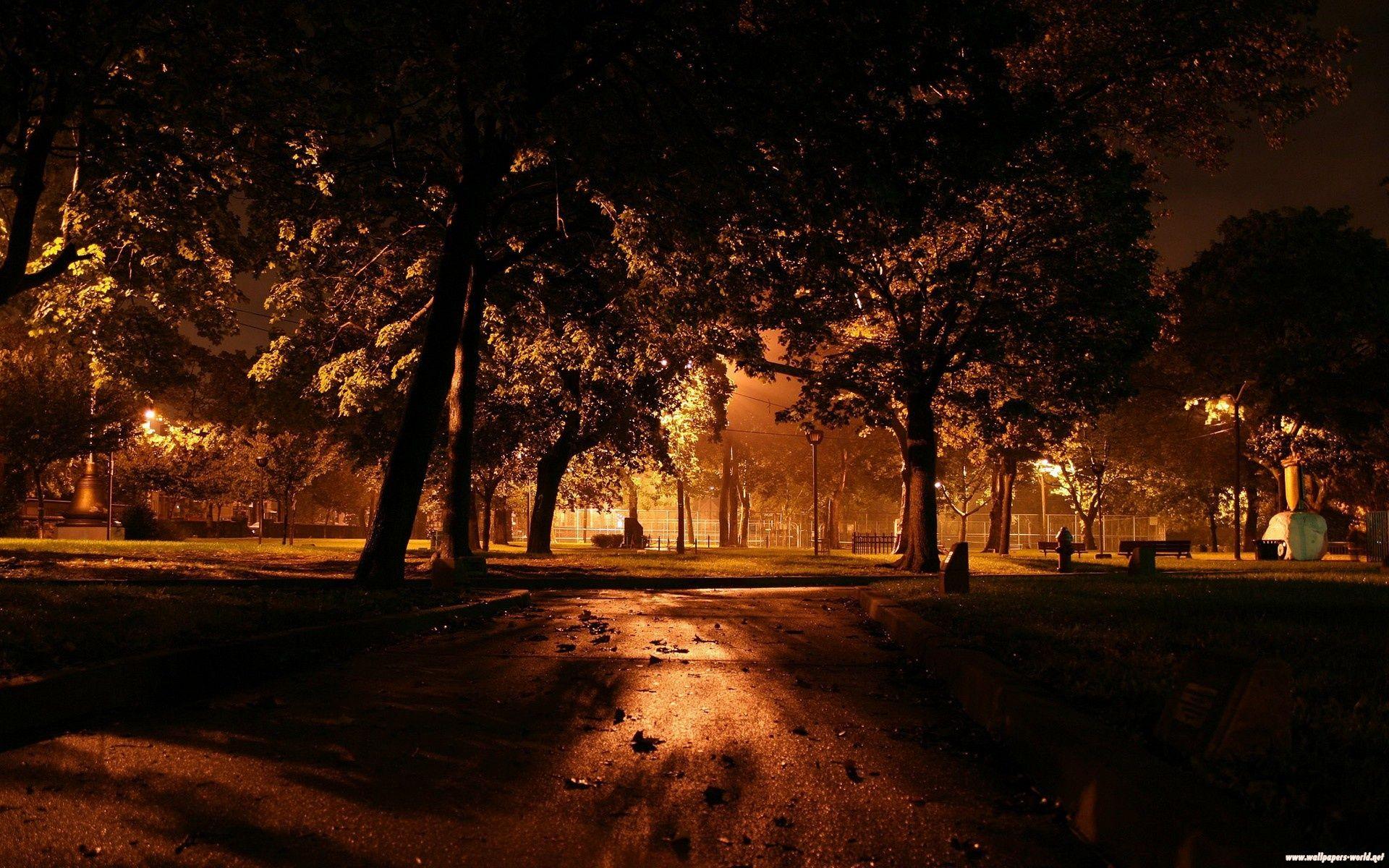 1920x1200 Night Park, landscapes, nature wallpaper. Night Park, landscapes, nature