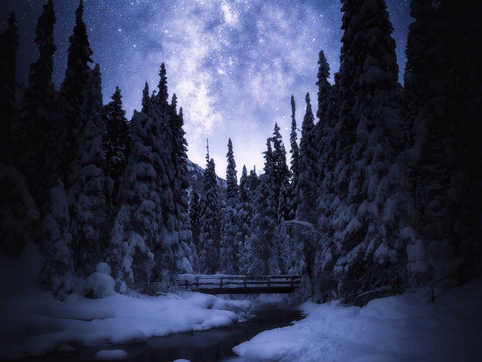 2048x1536 Wallpaper Starry sky, Night, Banff National Park, Winter, Pine trees, Snow, 4K, Nature,. Wallpaper for iPhone, Android, Mobile and Desktop