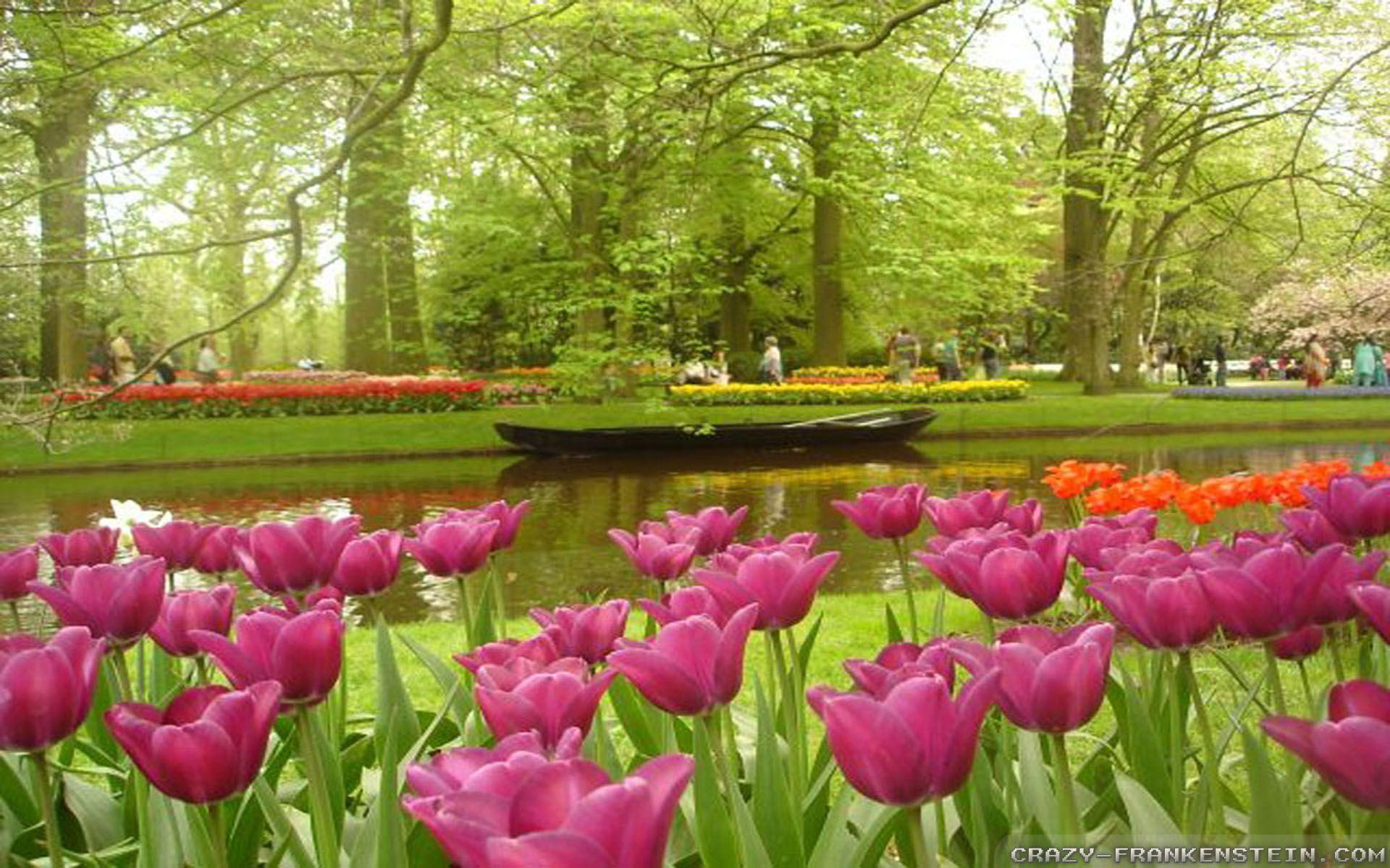 1920x1200 Garden And Wallpaper. Super Garden Image