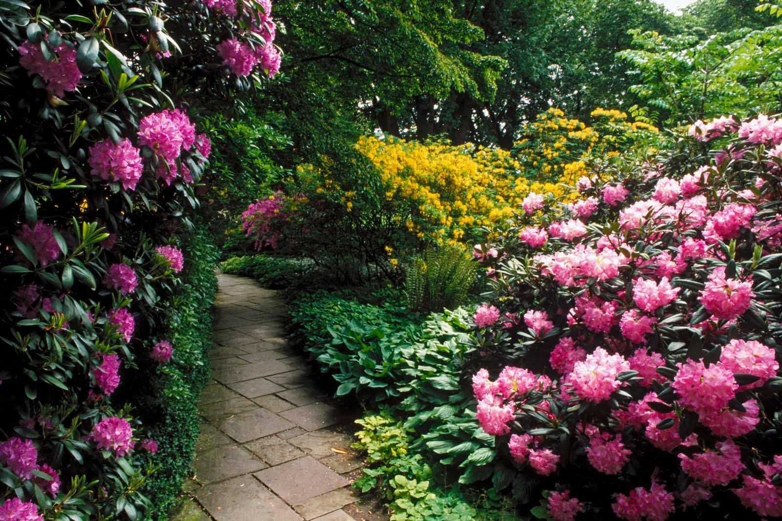 1600x1067 Gorgeous Flower Garden For Backyard
