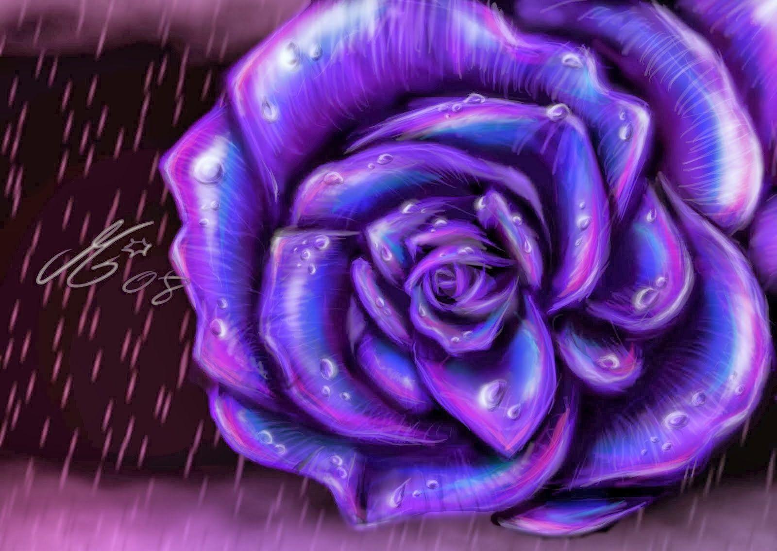 Lavender Rose Wallpapers Top Free Lavender Rose Backgrounds