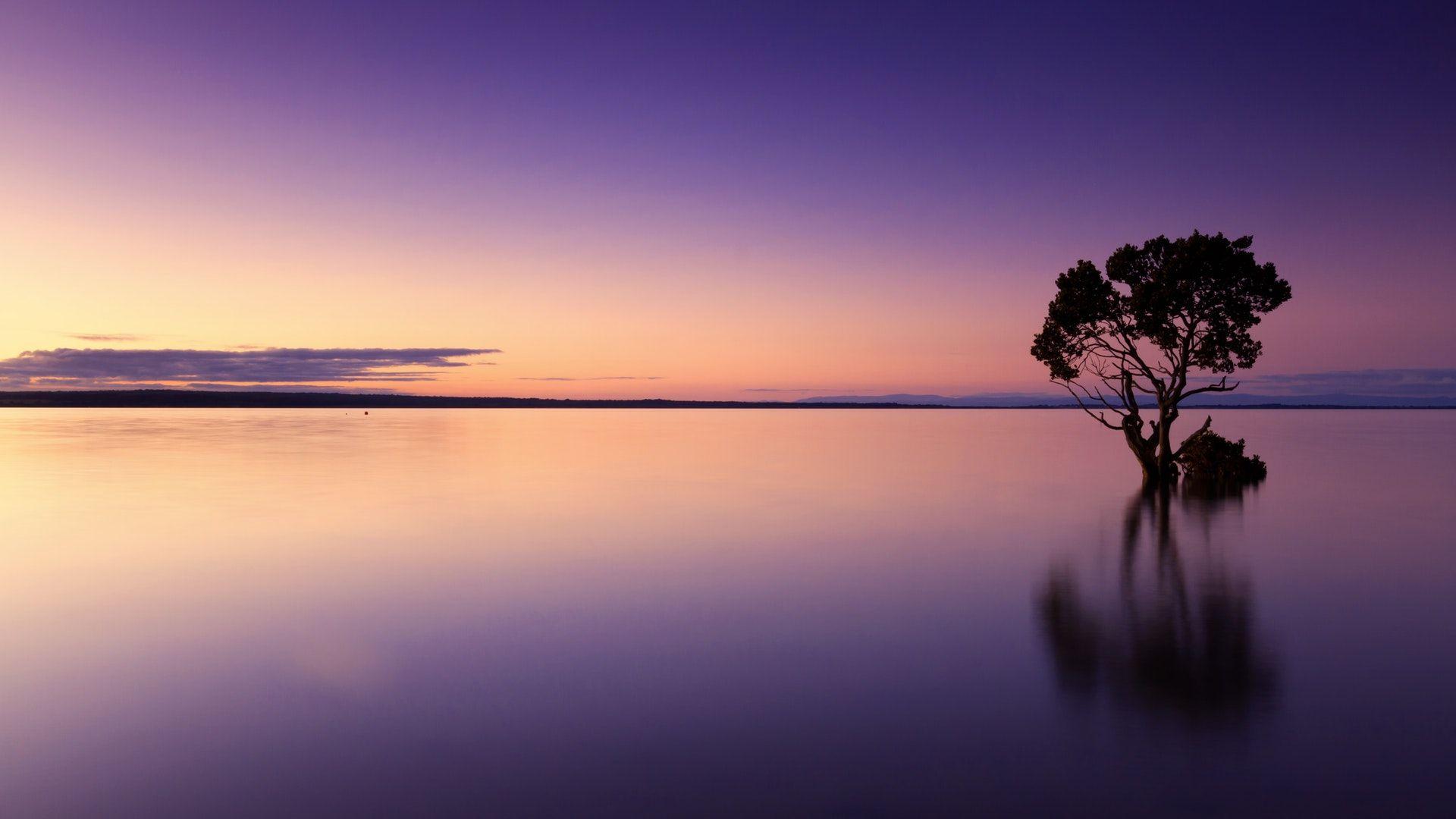 1920x1080 Nature HD Wallpaper 1080p For Desktop HD Wallpaper & Background Download