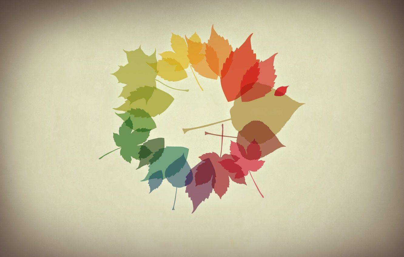 Autumn Minimalist Wallpapers - Top Free Autumn Minimalist Backgrounds