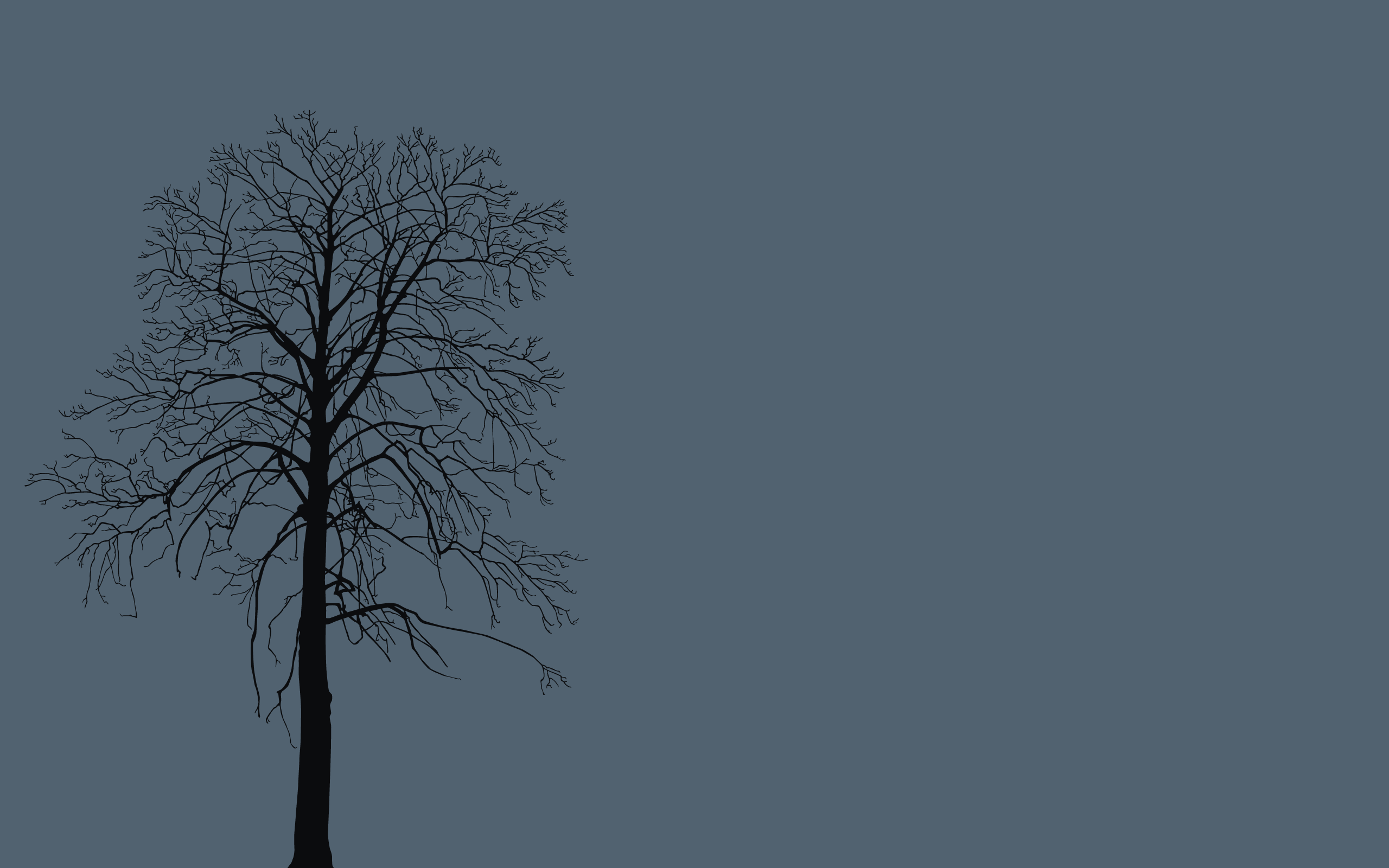 Simple Tree Wallpapers - Top Free Simple Tree Backgrounds - WallpaperAccess