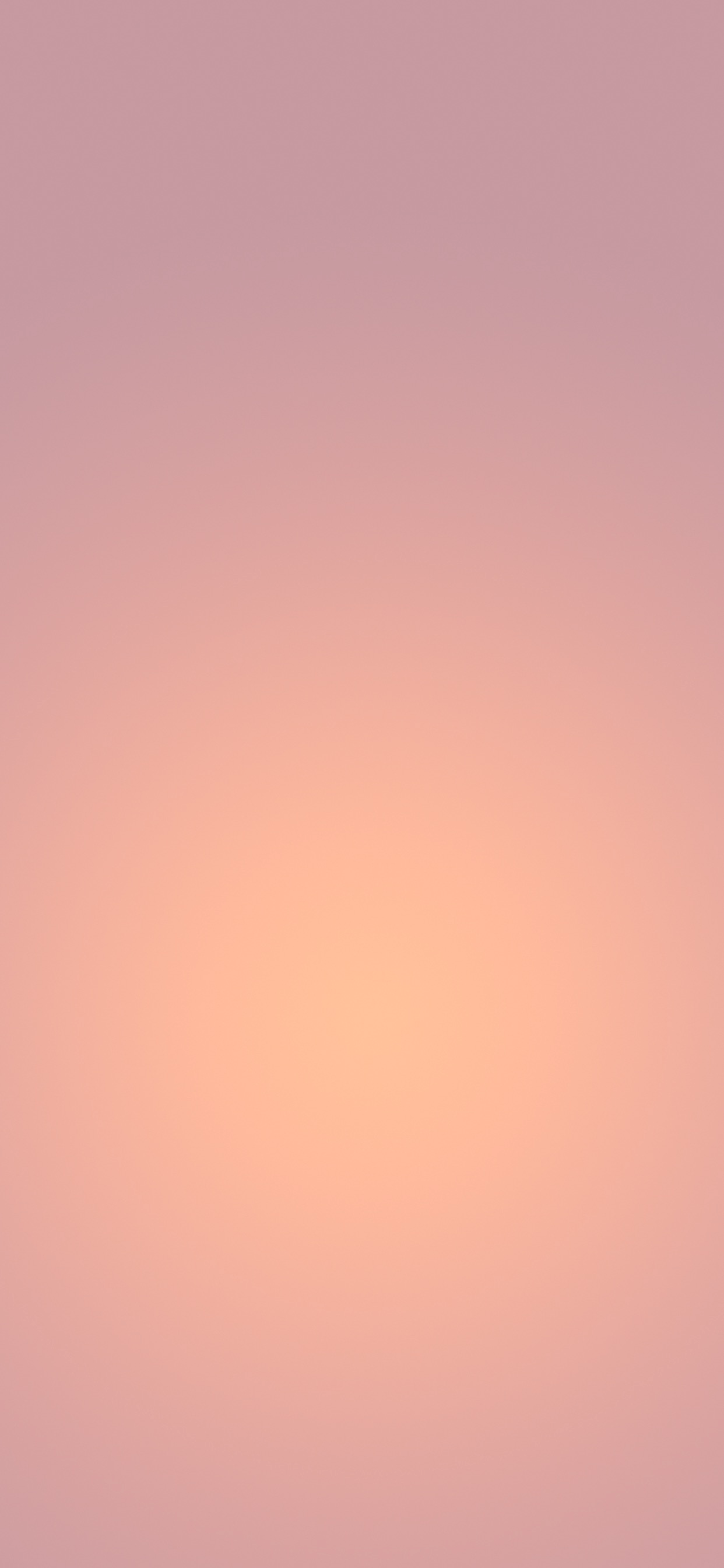 1242x2688 Simple Autumn Wallpaper