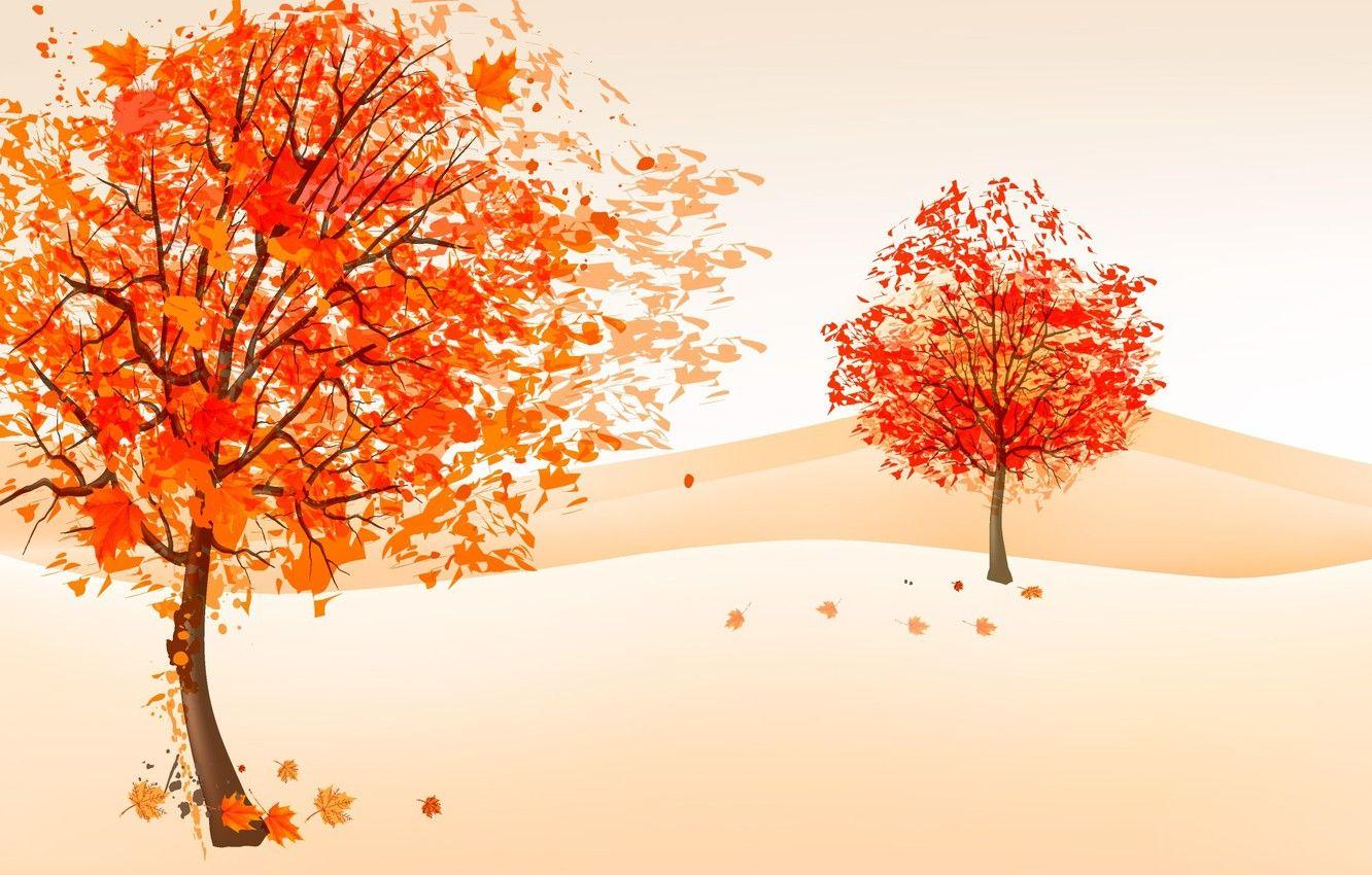 Autumn Minimalist Wallpapers - Top Free Autumn Minimalist Backgrounds