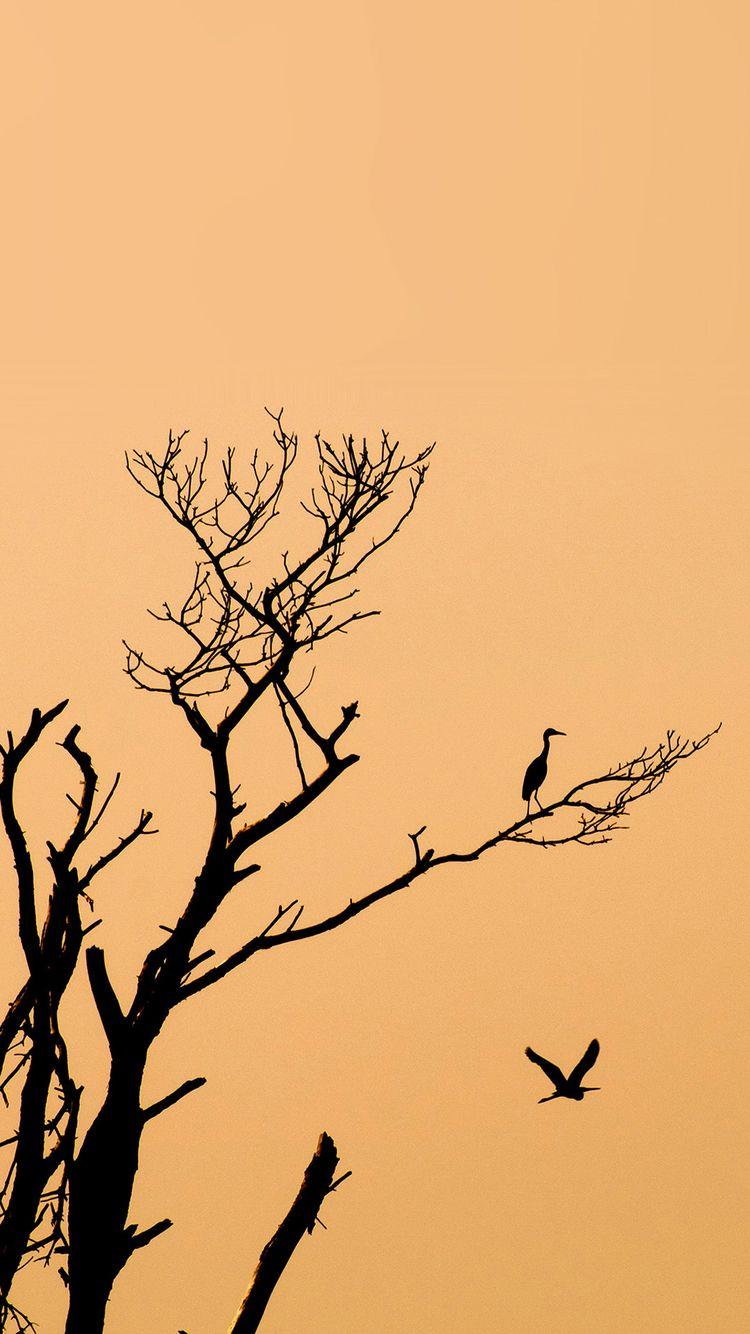 Simple Tree Wallpapers - Top Free Simple Tree Backgrounds - WallpaperAccess