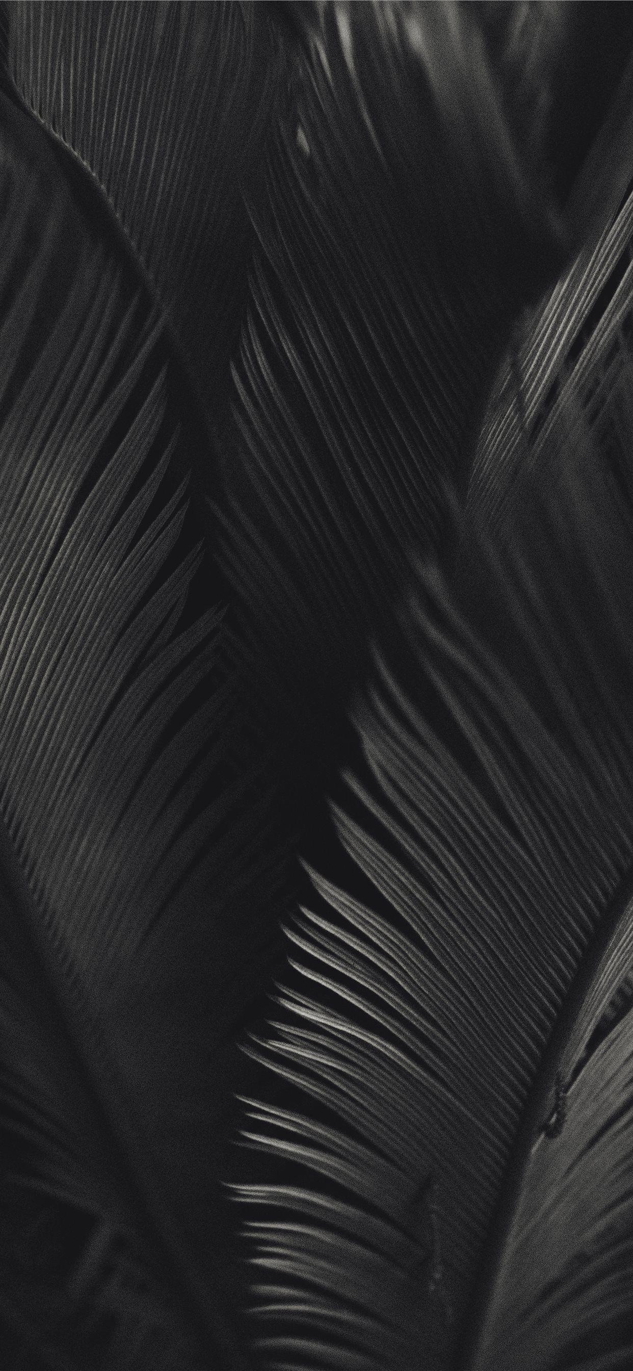1242x2688 palm tree iPhone X Wallpaper Free Download