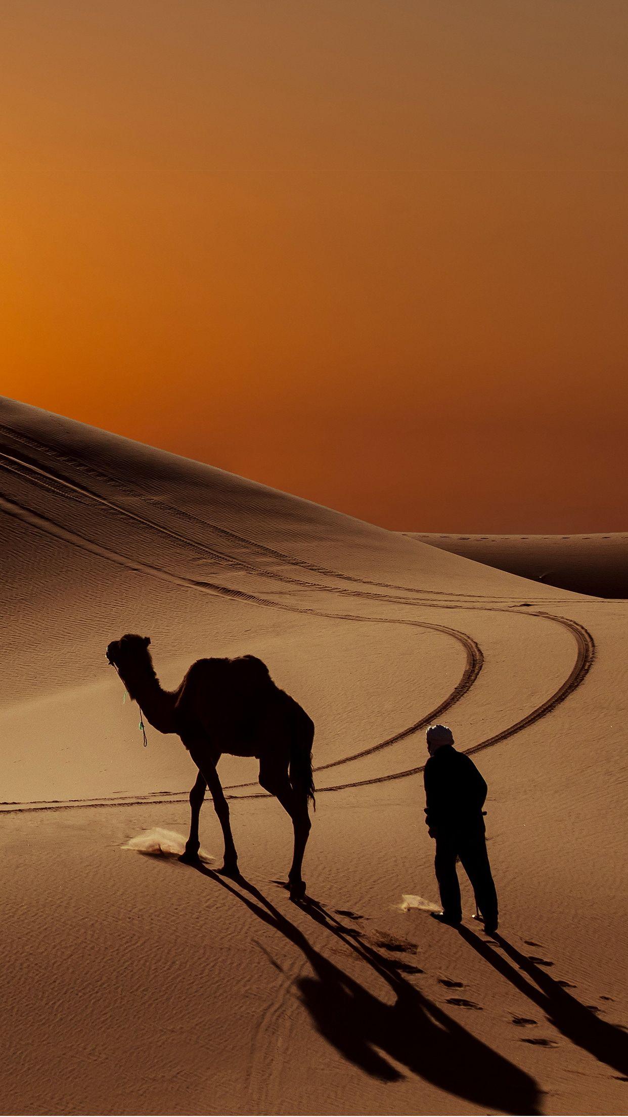 1242x2208 Camel desert Wallpaper for iPhone Pro Max, X, 6