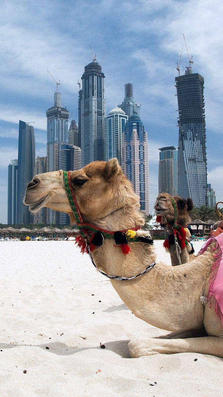 750x1334 Pin em ☴Dubai