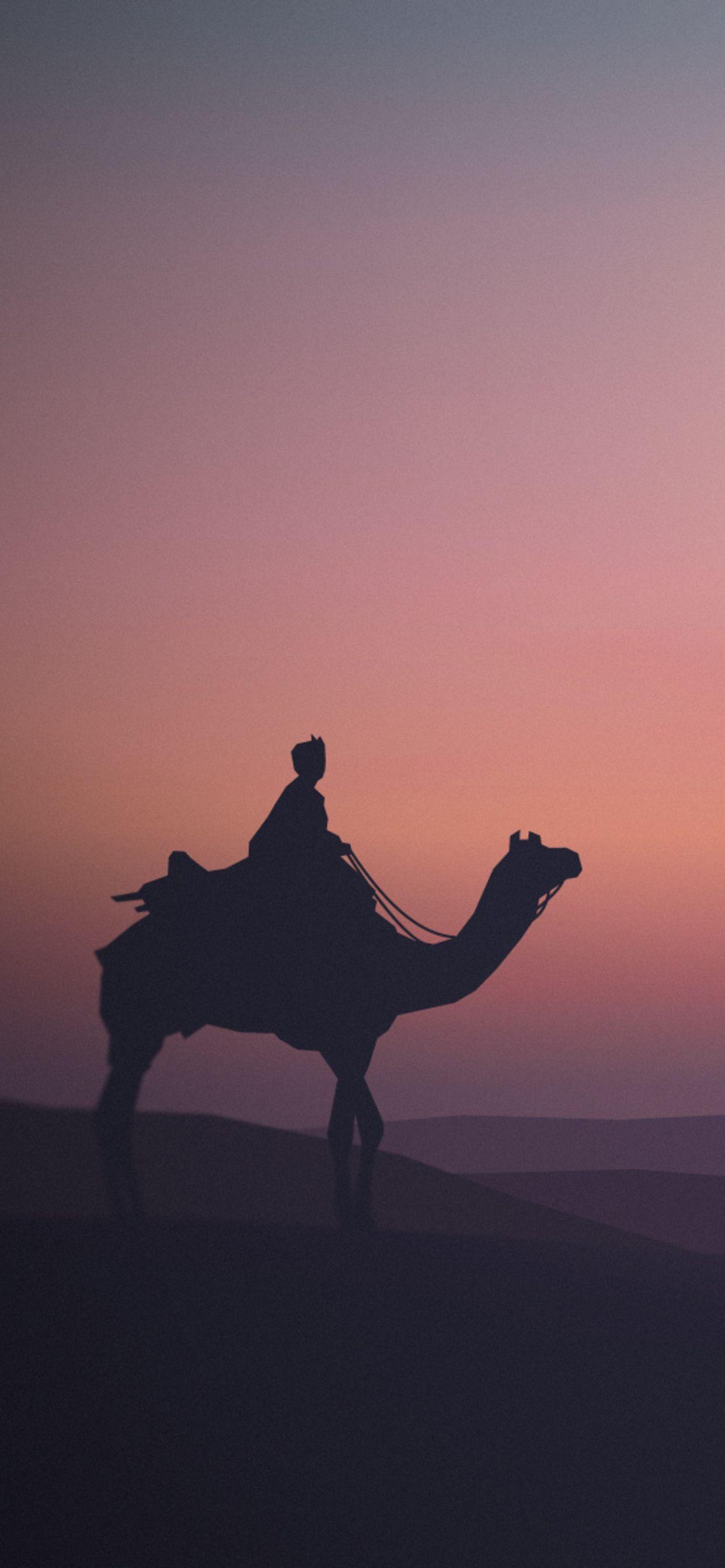 1242x2688 Camel Desert Minimalist iPhone XS MAX HD 4k Wallpaper, Image, Background, Photo and Picture