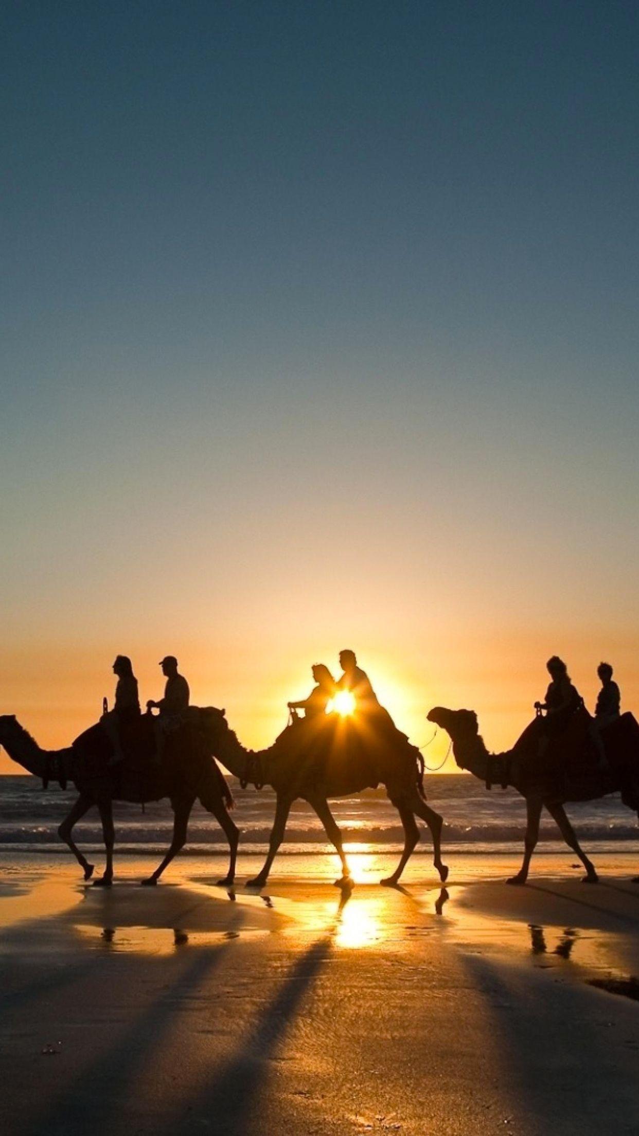 1242x2208 Camel caravan Wallpaper for iPhone Pro Max, X, 6