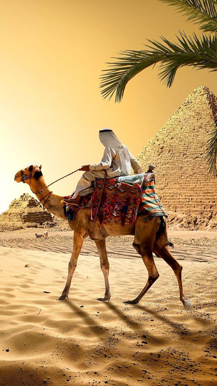 720x1280 Arab man wallpaper