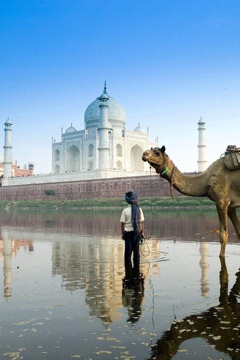 800x1200 Download Wallpaper 800x1200 Islam, Architecture, Camel, Street Iphone 4s 4 For Parallax HD Background
