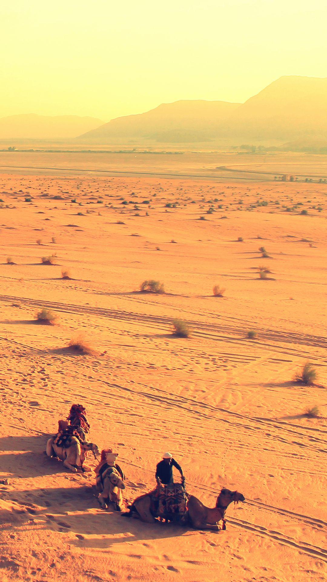 1080x1920 Desert Camel iPhone Wallpaper HD