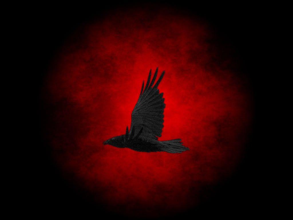 Hình nền 1024x768 Dark Raven