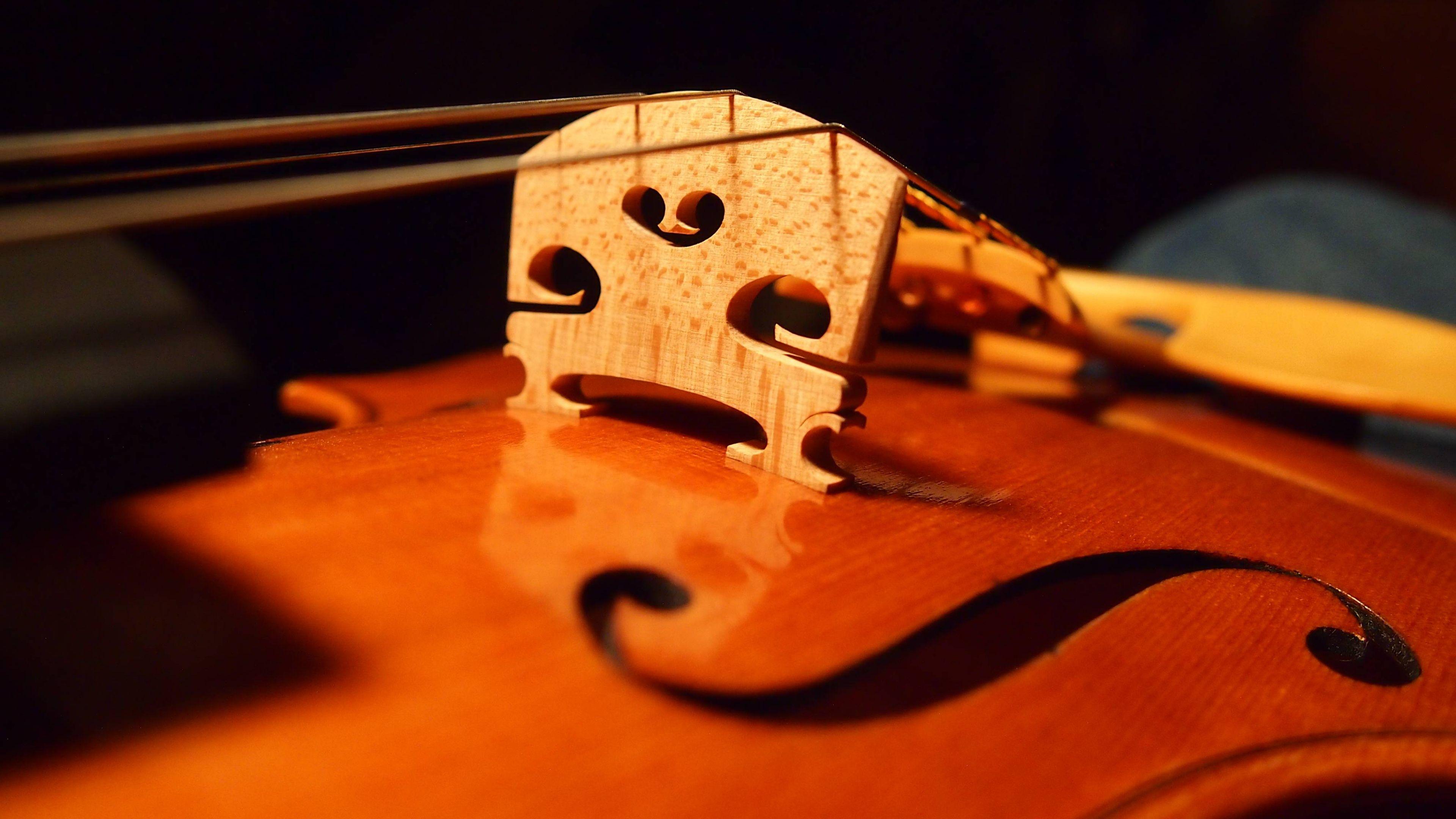 Fiddle Wallpapers - Top Free Fiddle Backgrounds - WallpaperAccess