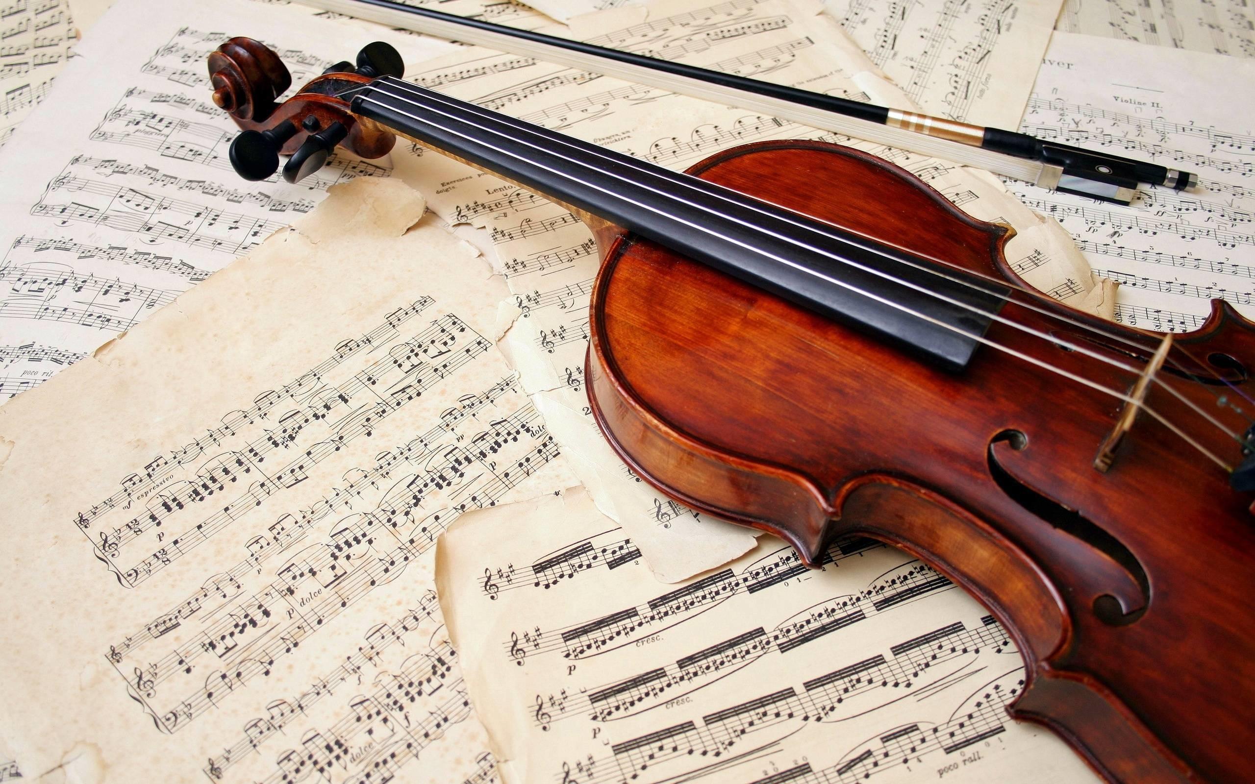 2560x1600 Violin Photography Wallpaper