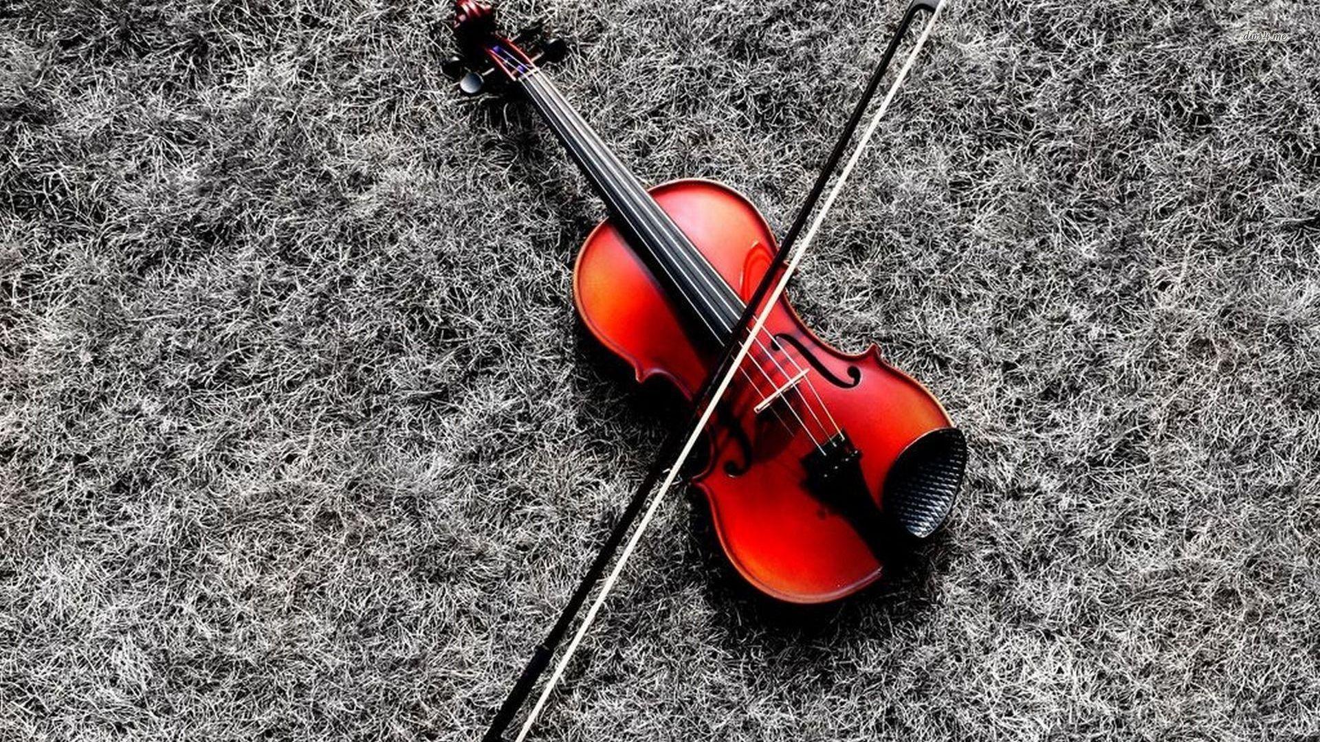 Fiddle Wallpapers - Top Free Fiddle Backgrounds - WallpaperAccess