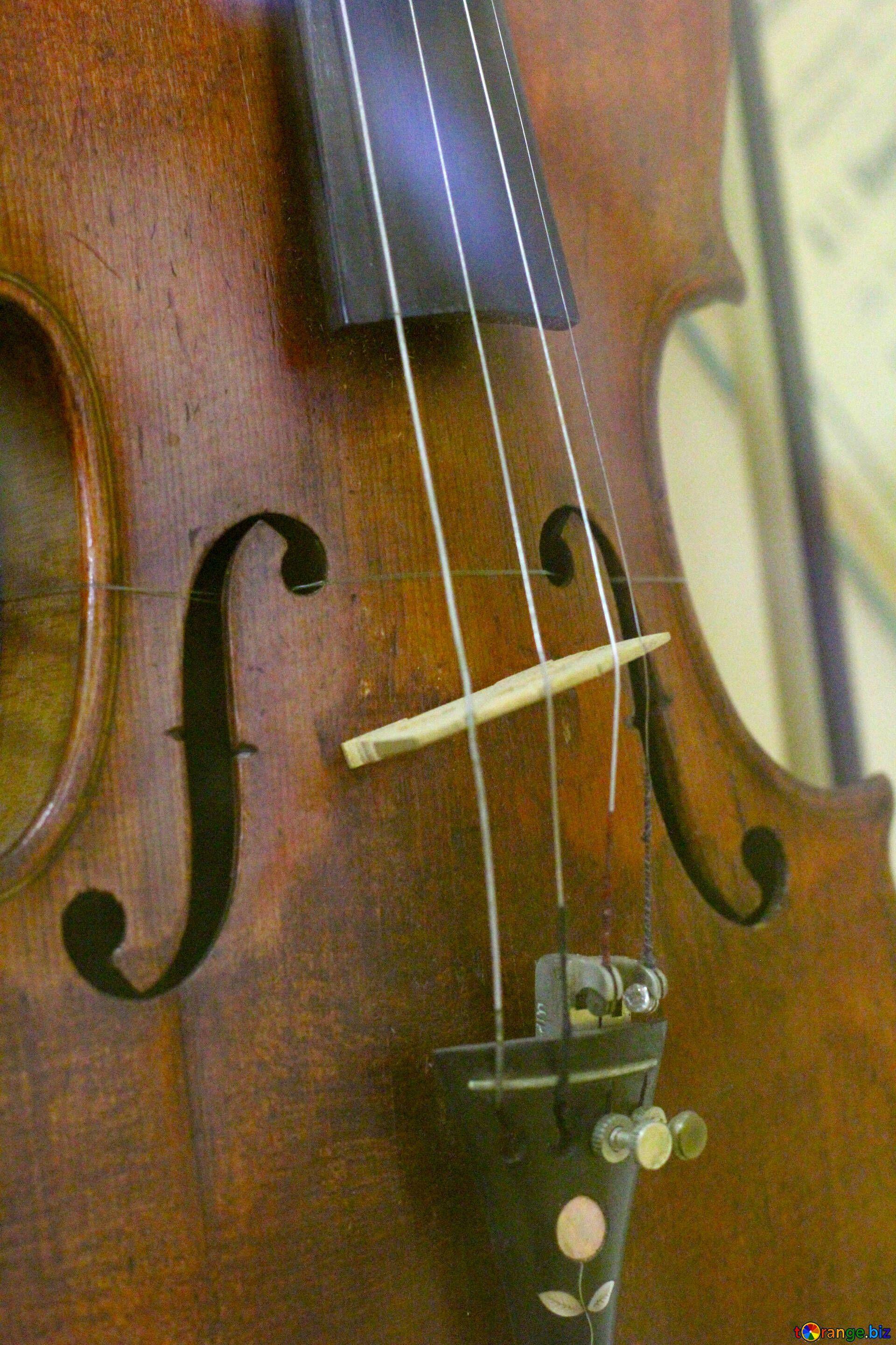 1920x2880 Ancient musical instruments antique violin music № 44203