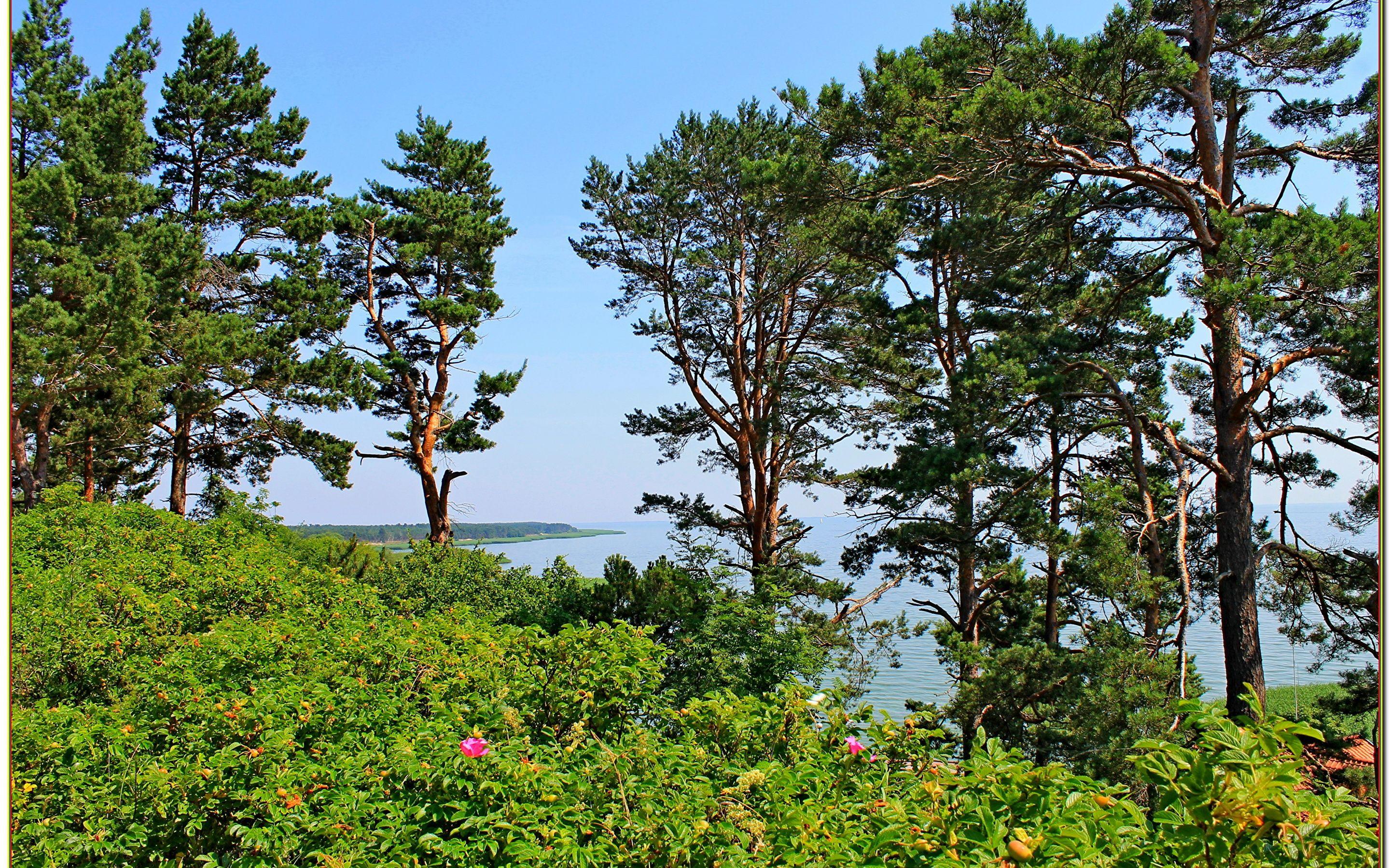 2880x1800 Wallpaper Lithuania Nida Nature Landscape photography 2880x1800