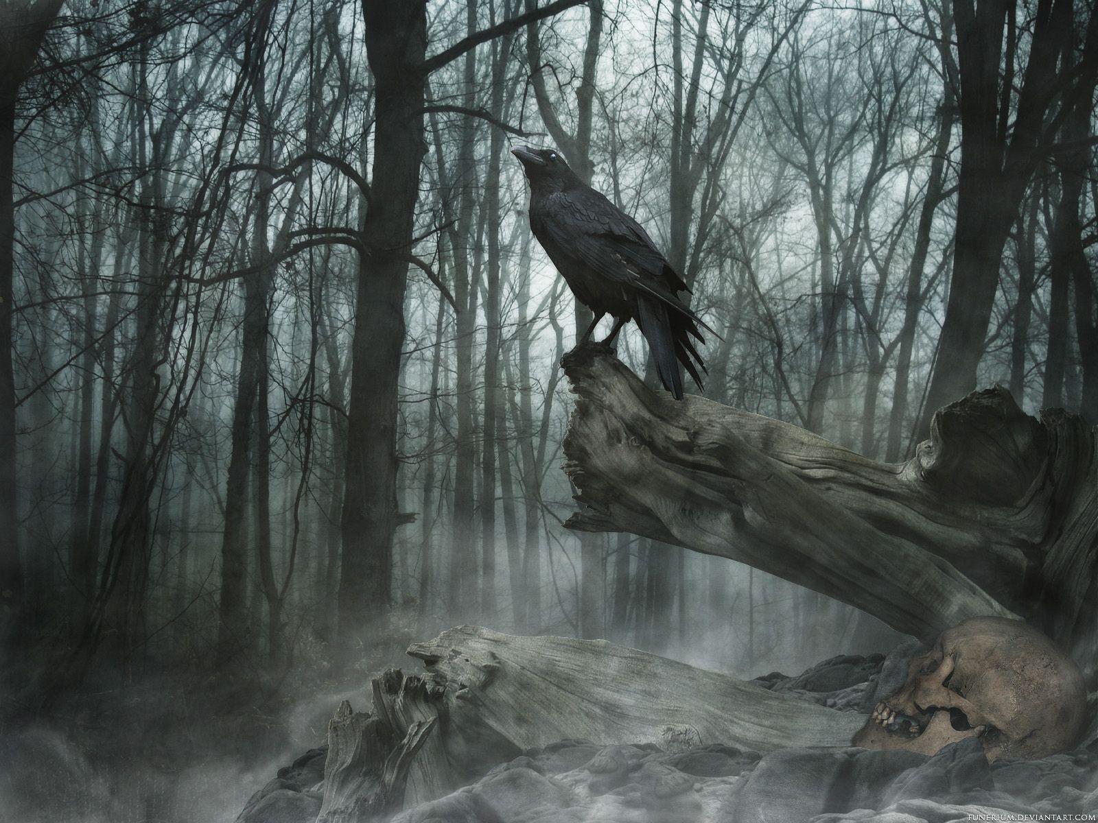 1600x1200 Grave mound Wallpaper and Background Imagex1200