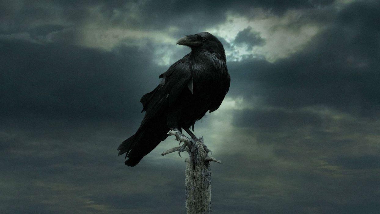 Gothic Raven Wallpapers - Top Free Gothic Raven Backgrounds -  WallpaperAccess