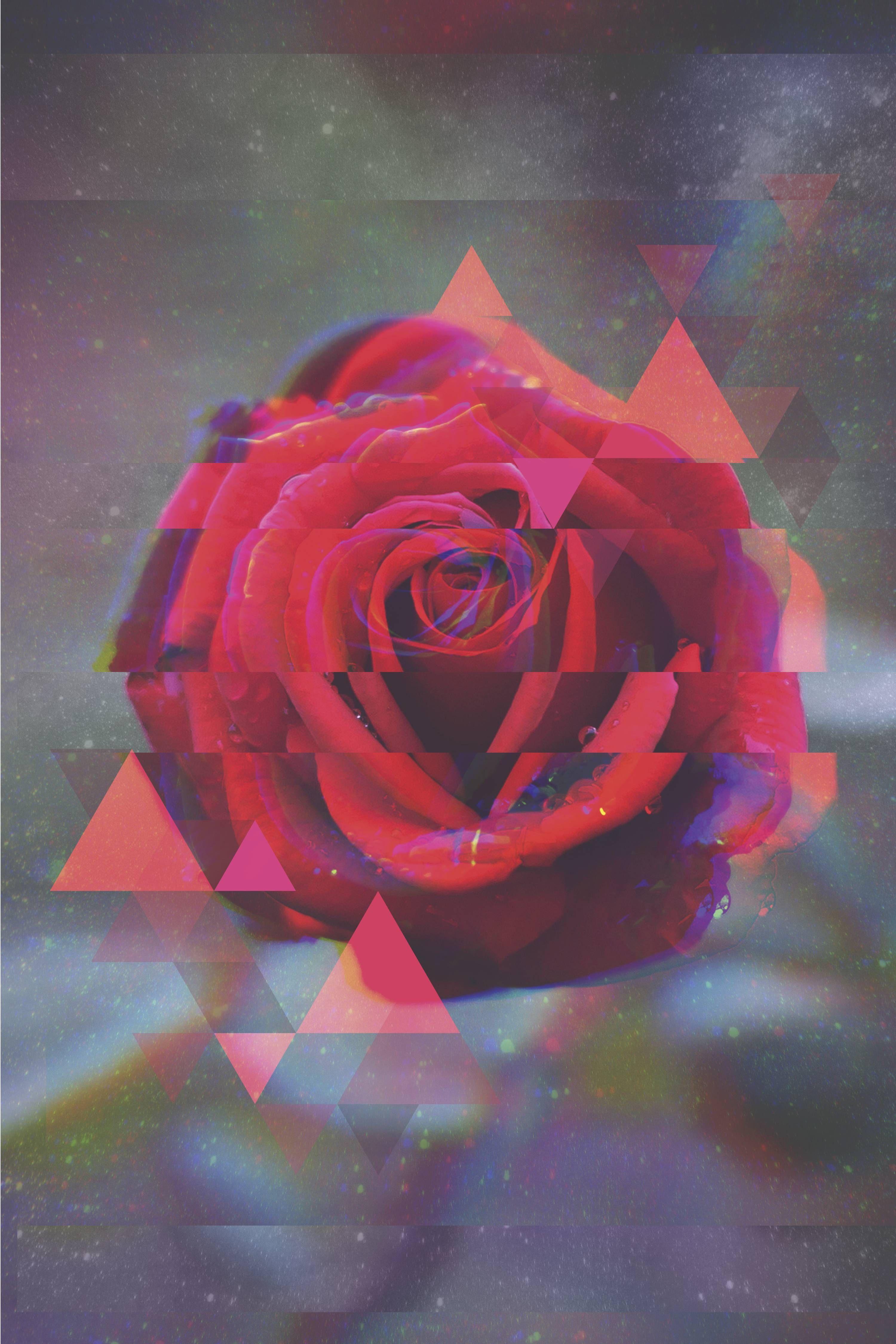 Rose Glitch Wallpapers Top Free Rose Glitch Backgrounds Wallpaperaccess