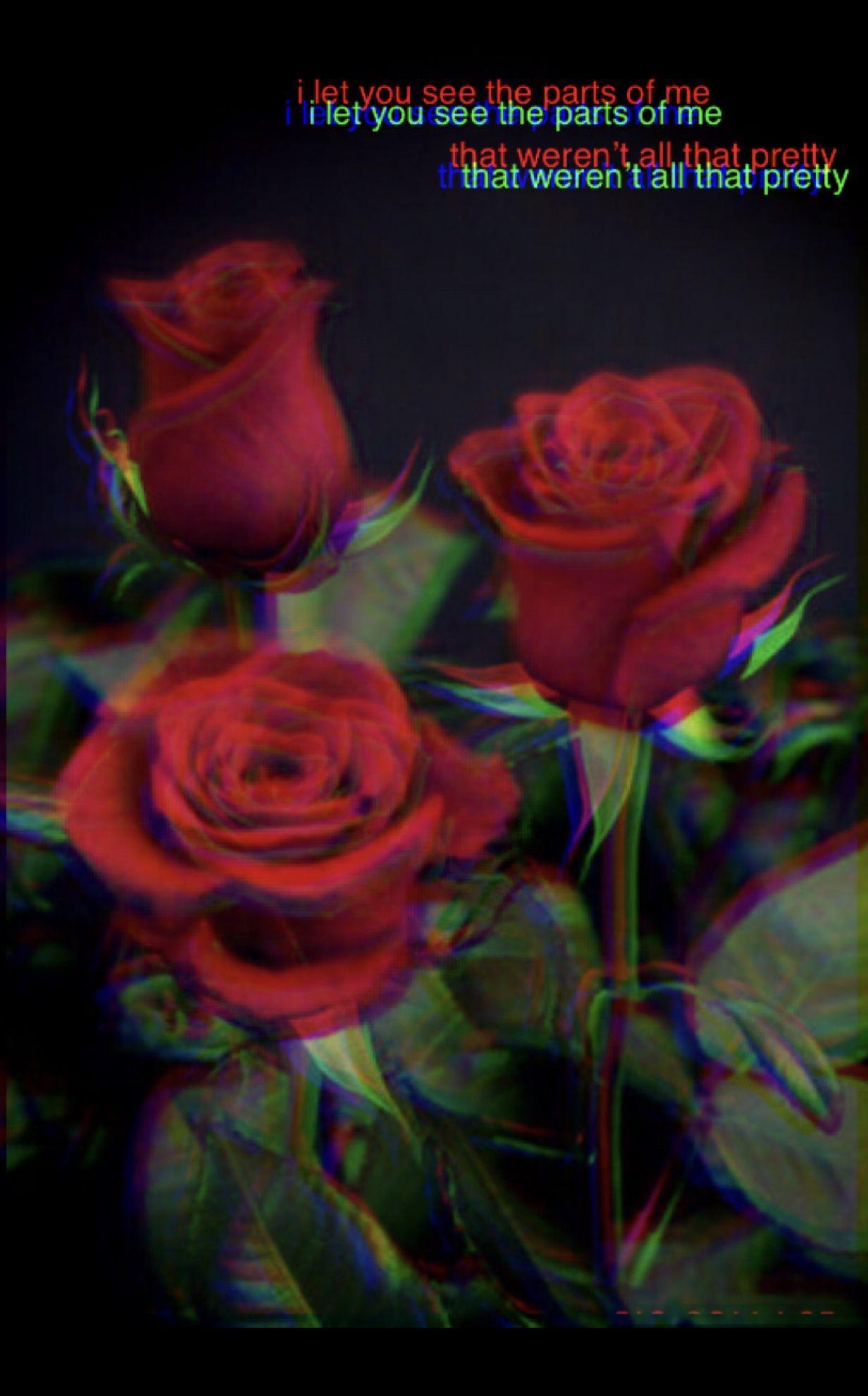 Rose Glitch Wallpapers Top Free Rose Glitch Backgrounds Wallpaperaccess