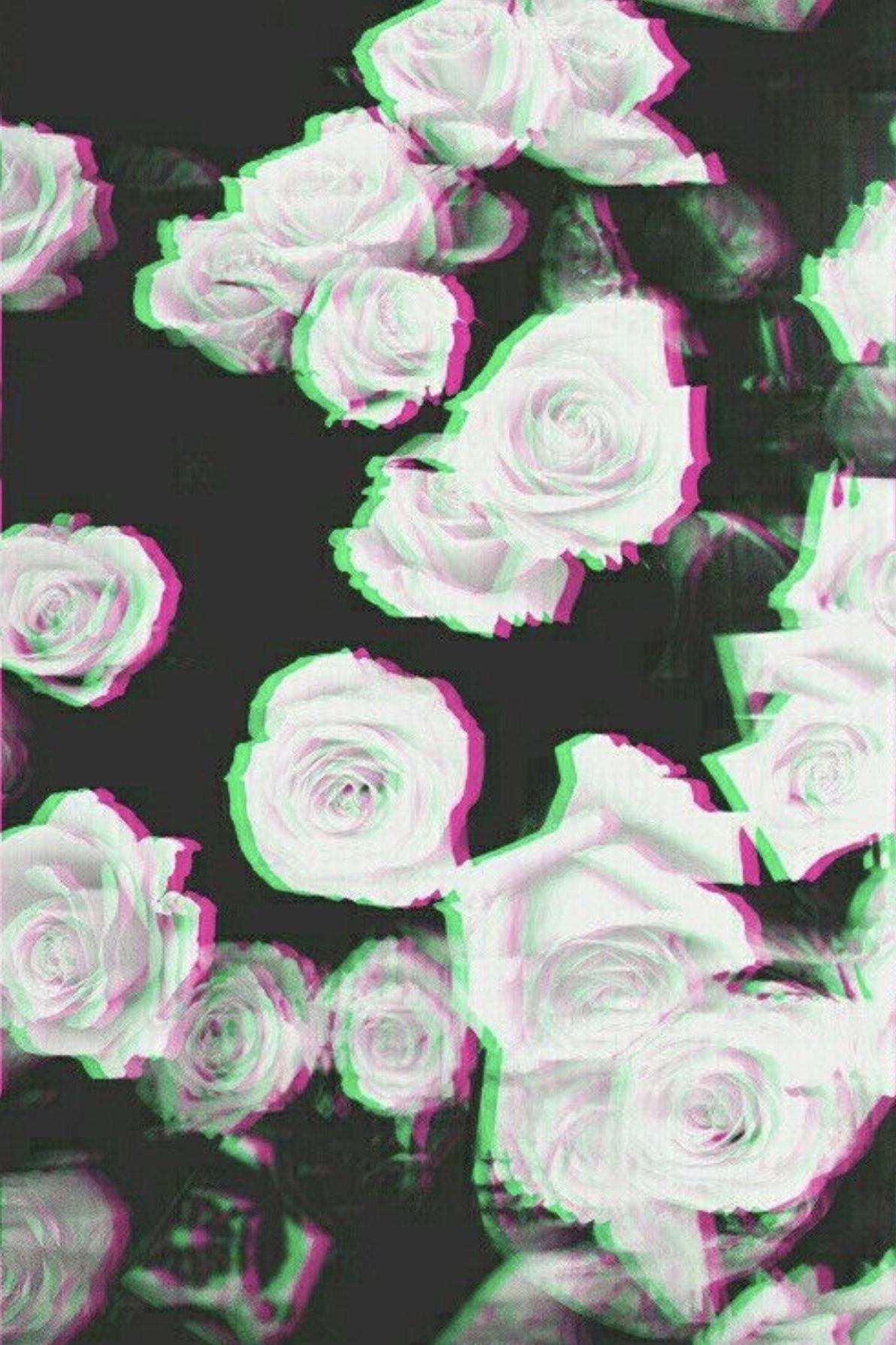 Rose Glitch Wallpapers - Top Free Rose Glitch Backgrounds - WallpaperAccess