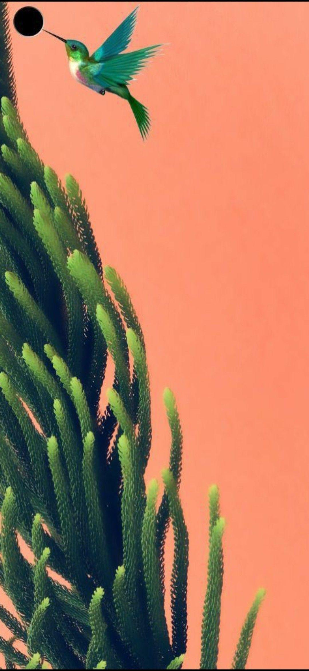 1080x2340 stylish Wallpaper